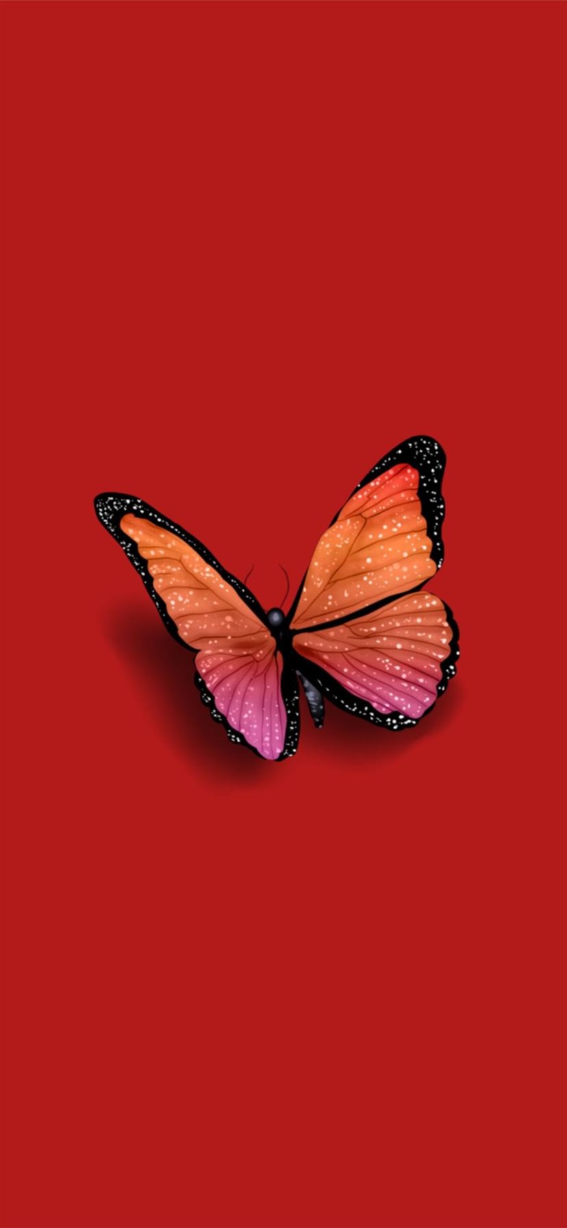 Butterfly by steph on colors iPhone X Wallpaper Free Download