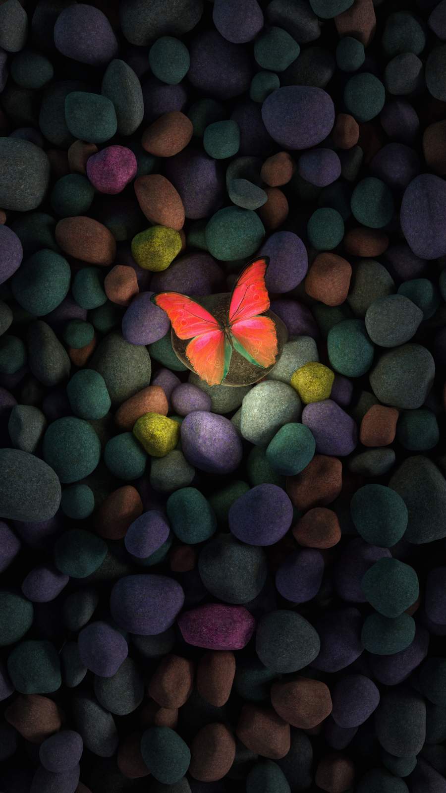 Butterfly IPhone Wallpaper Wallpaper, iPhone Wallpaper