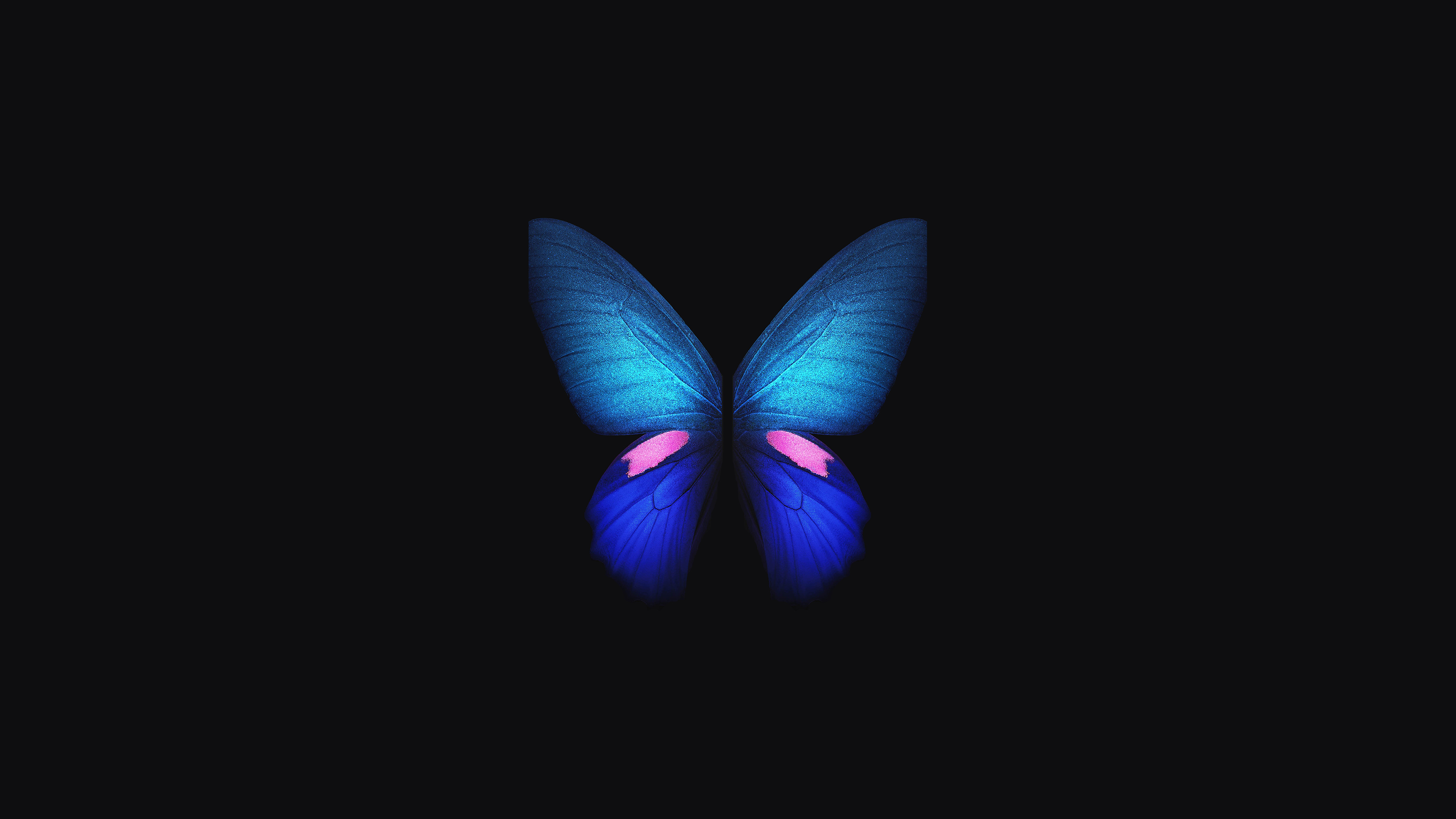 samsung galaxy fold, butterfly, samsung, stock, hd, original, 4k, artist, digital art, dark, black, oled Gallery HD Wallpaper