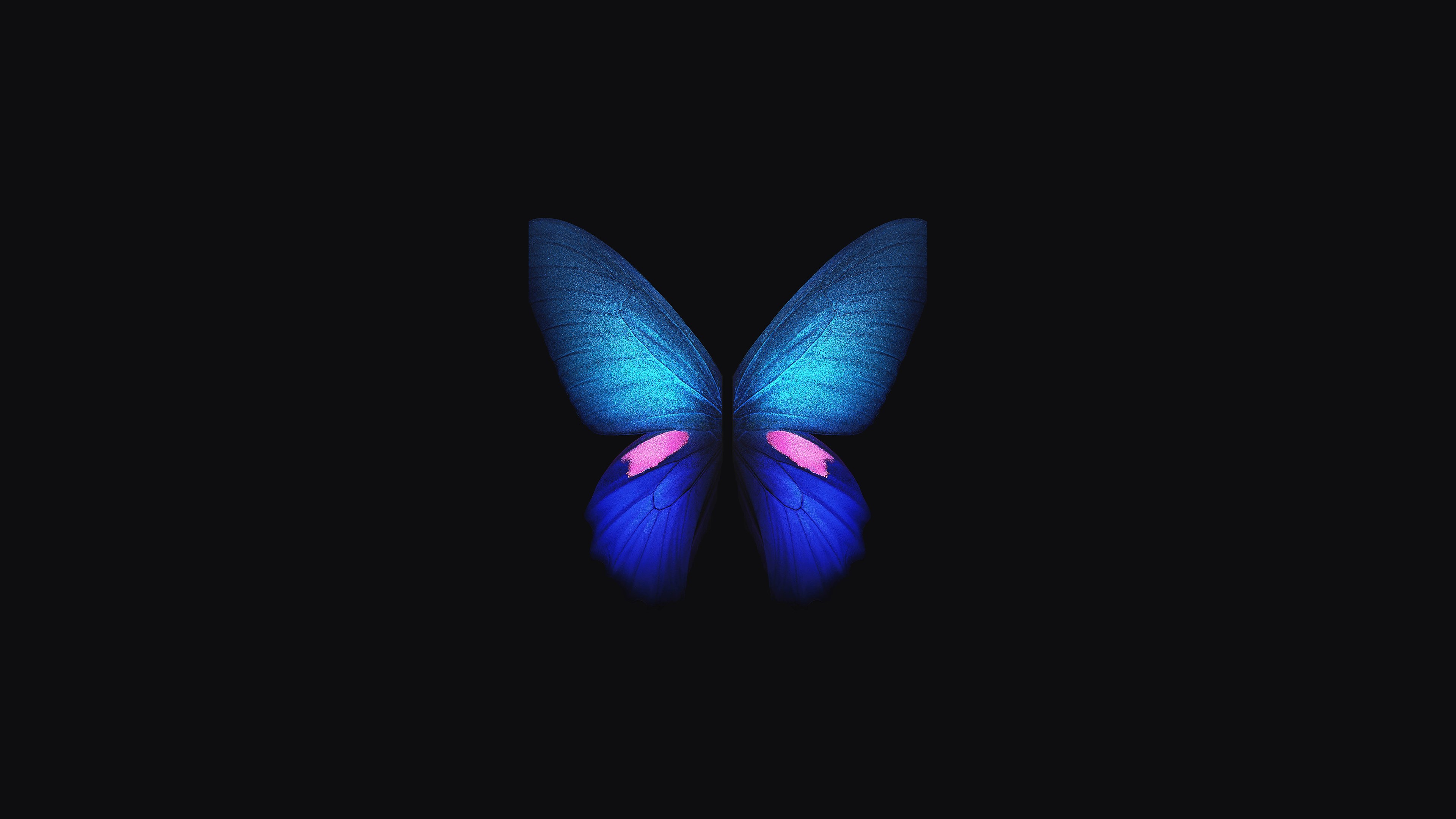Wallpaper / samsung galaxy fold, butterfly, samsung, stock, hd, original, 4k, artist, digital art, dark, black, oled free download