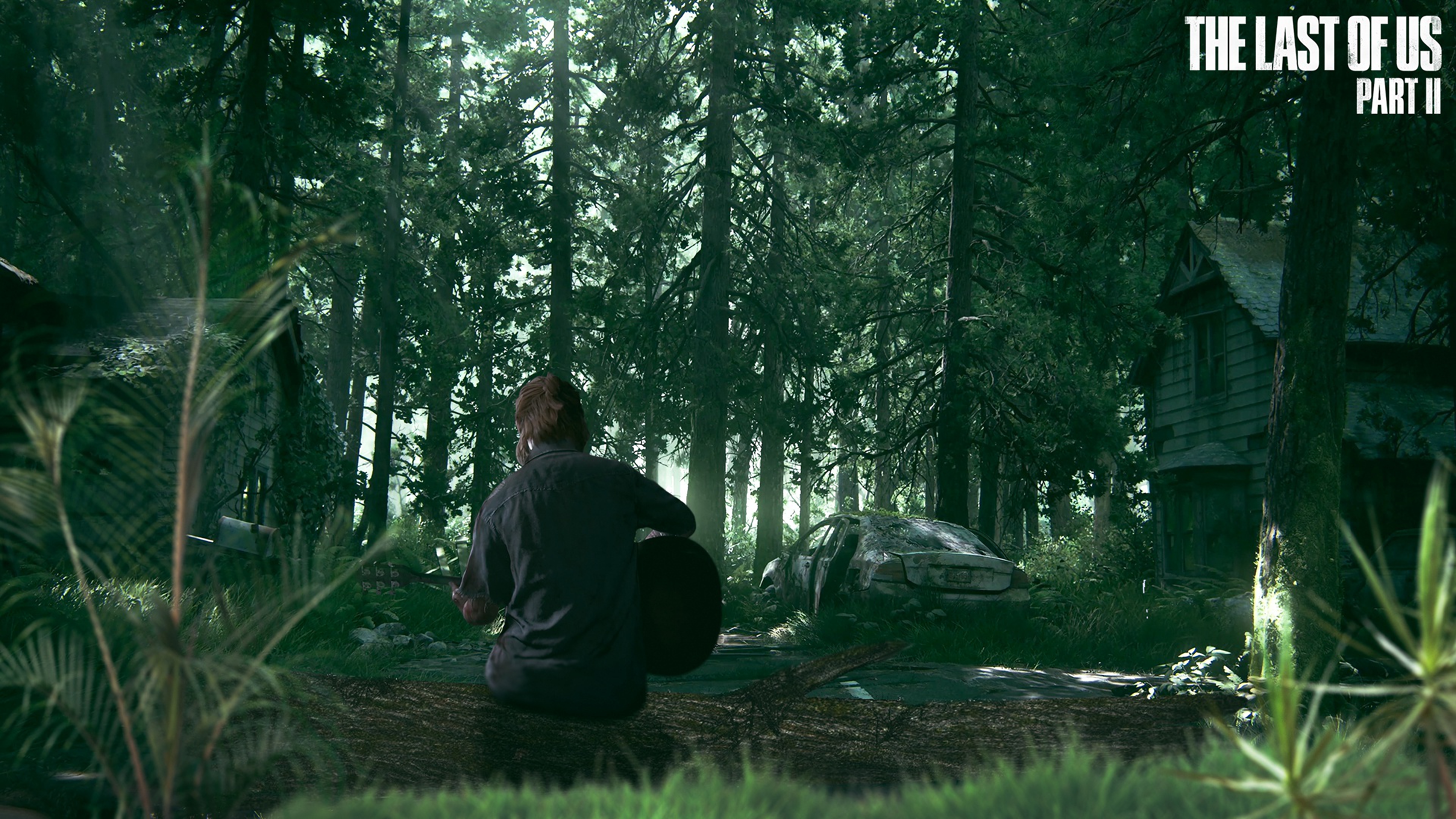 The Last of Us Part 2, 4K Gallery HD Wallpaper