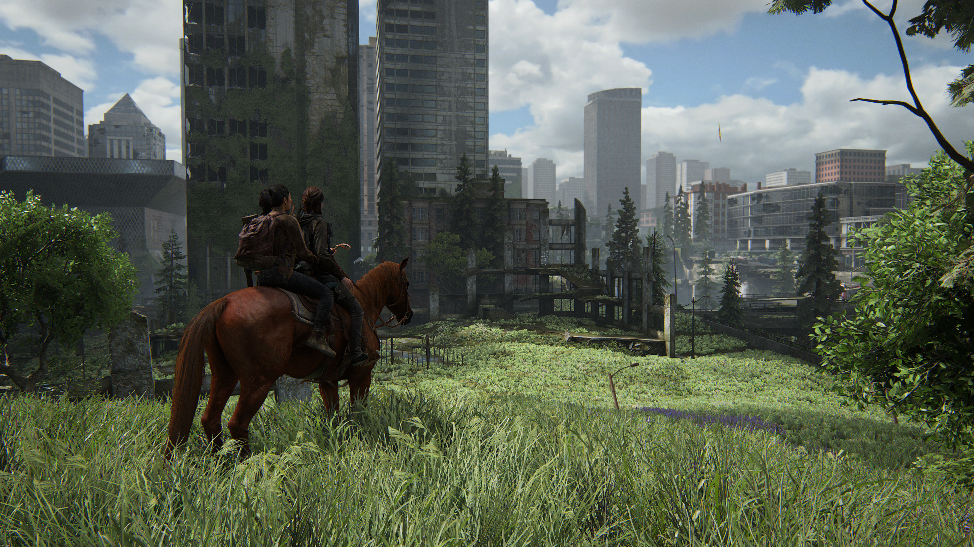 The Last of Us Part II HD Wallpaper and Background