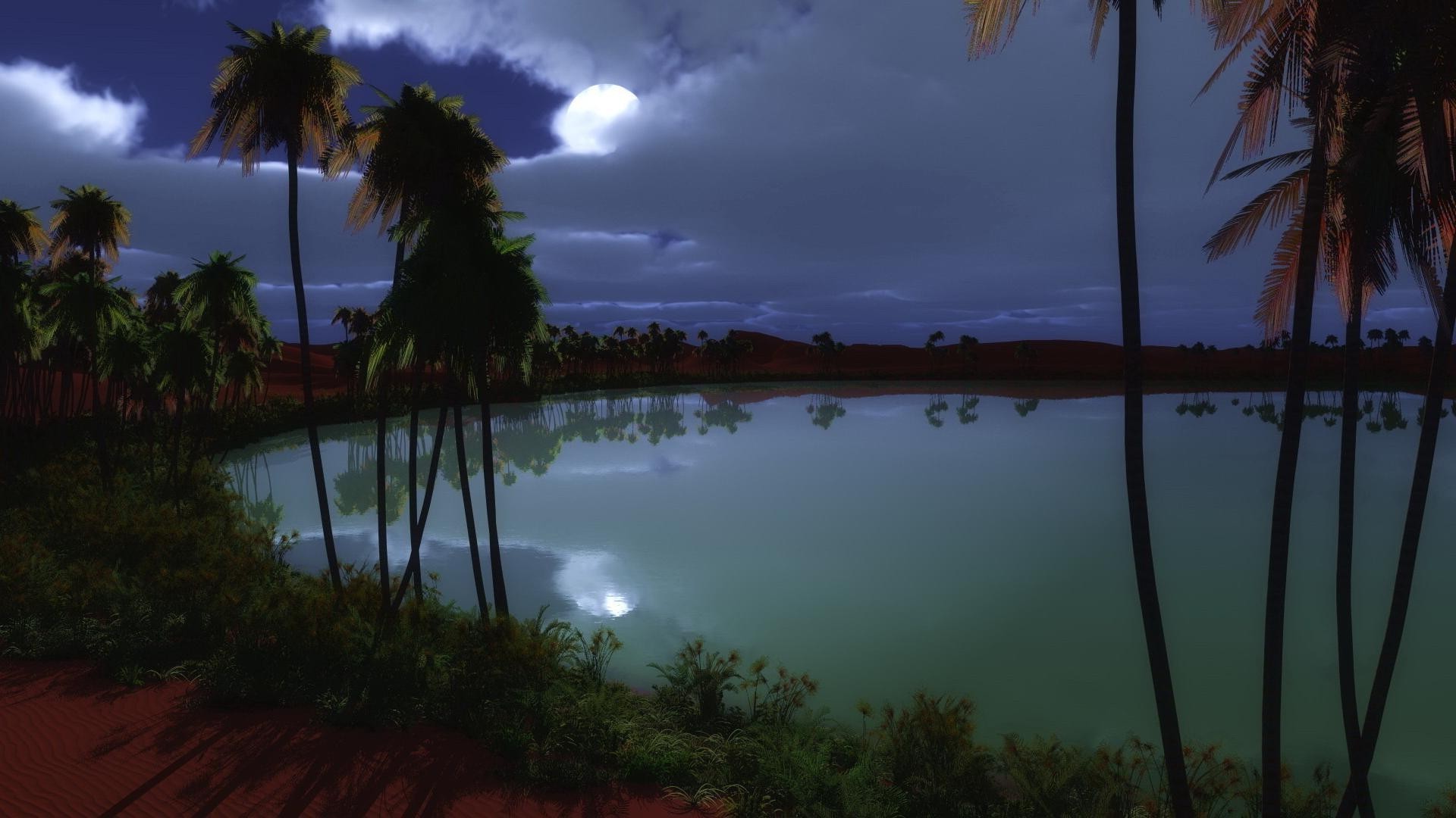 Night sunset. Palm trees on the shore