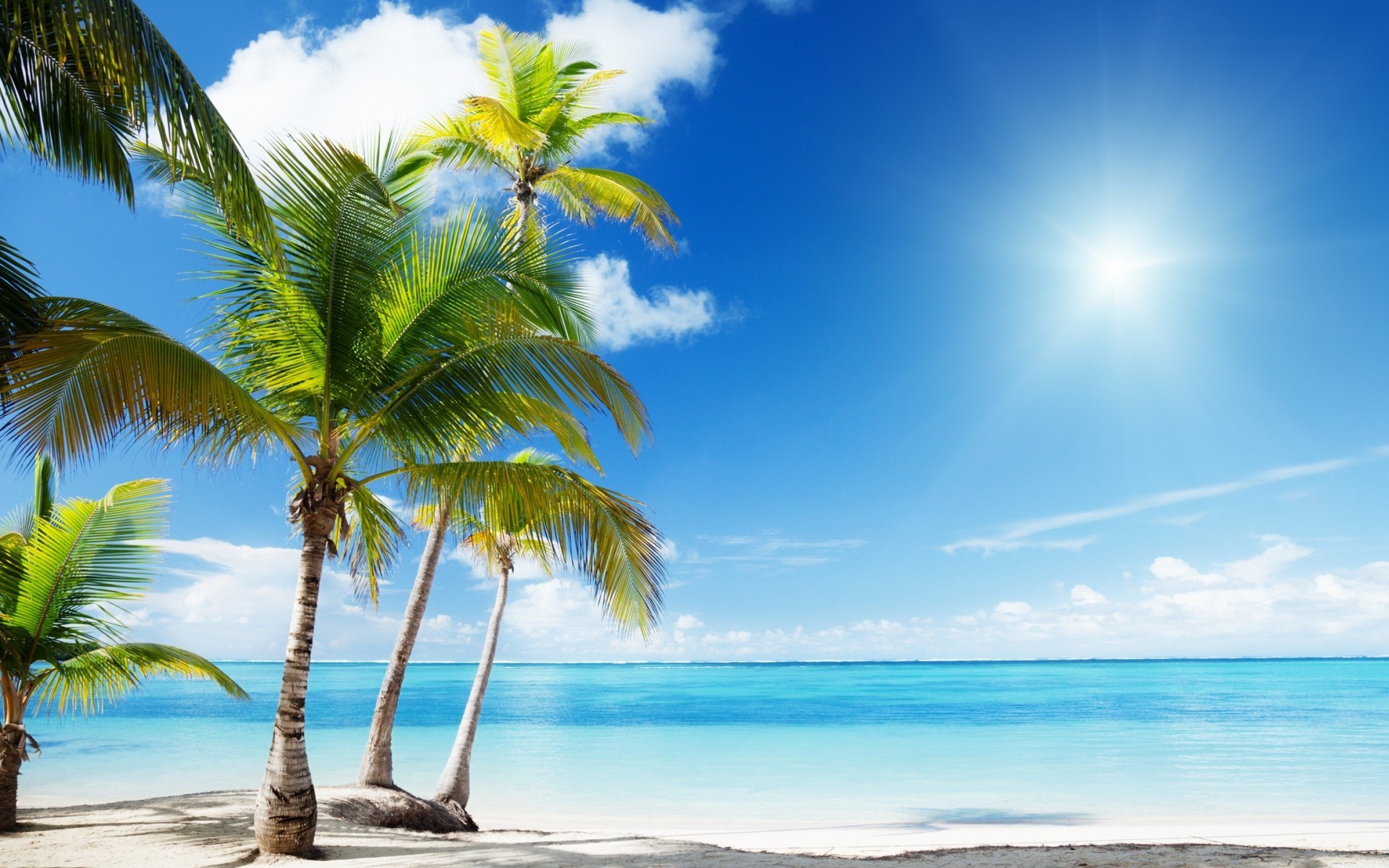 Summer landscape: palm trees, sun, beach