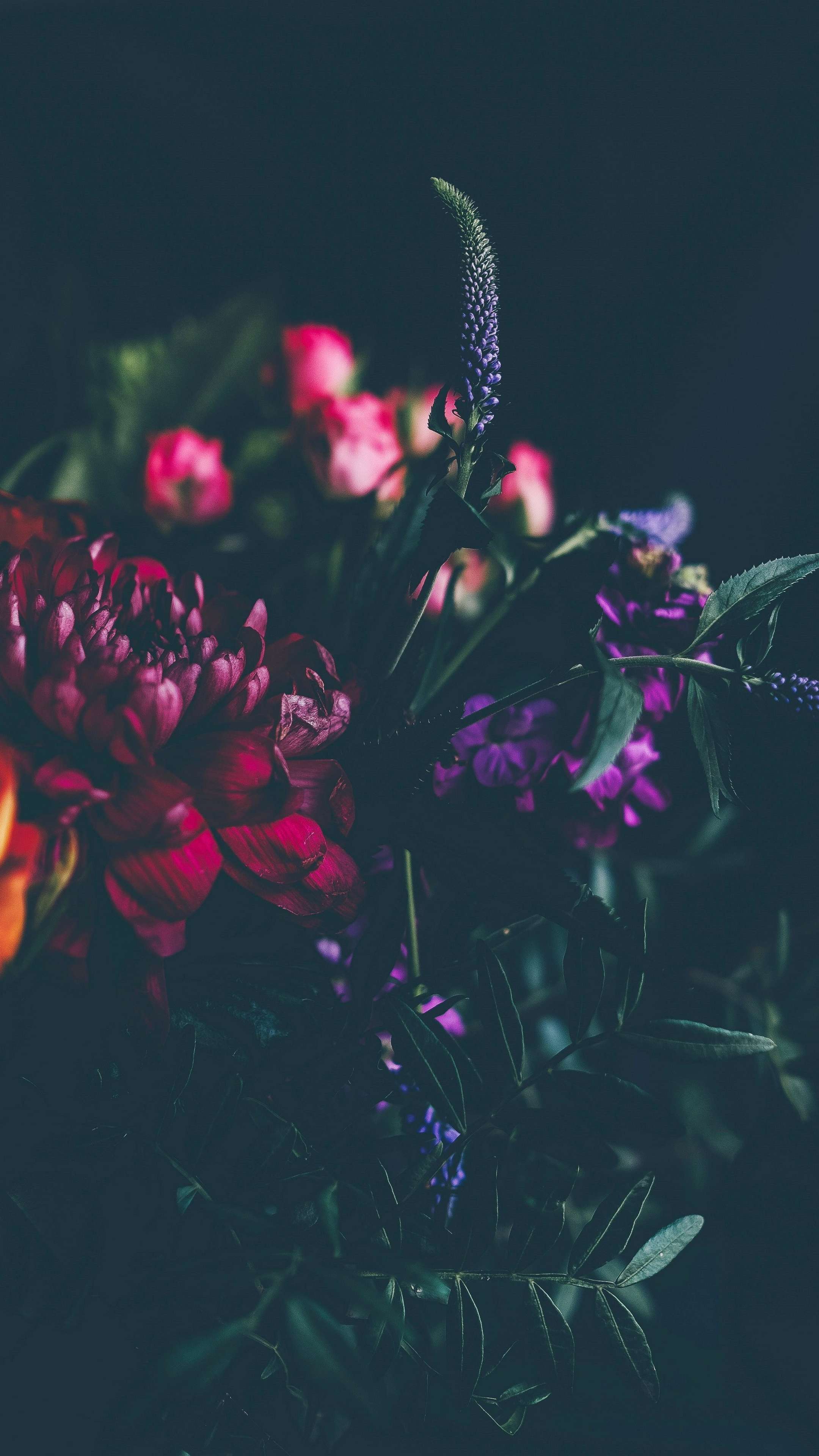 Dark Flowers 4K Phone Wallpaper