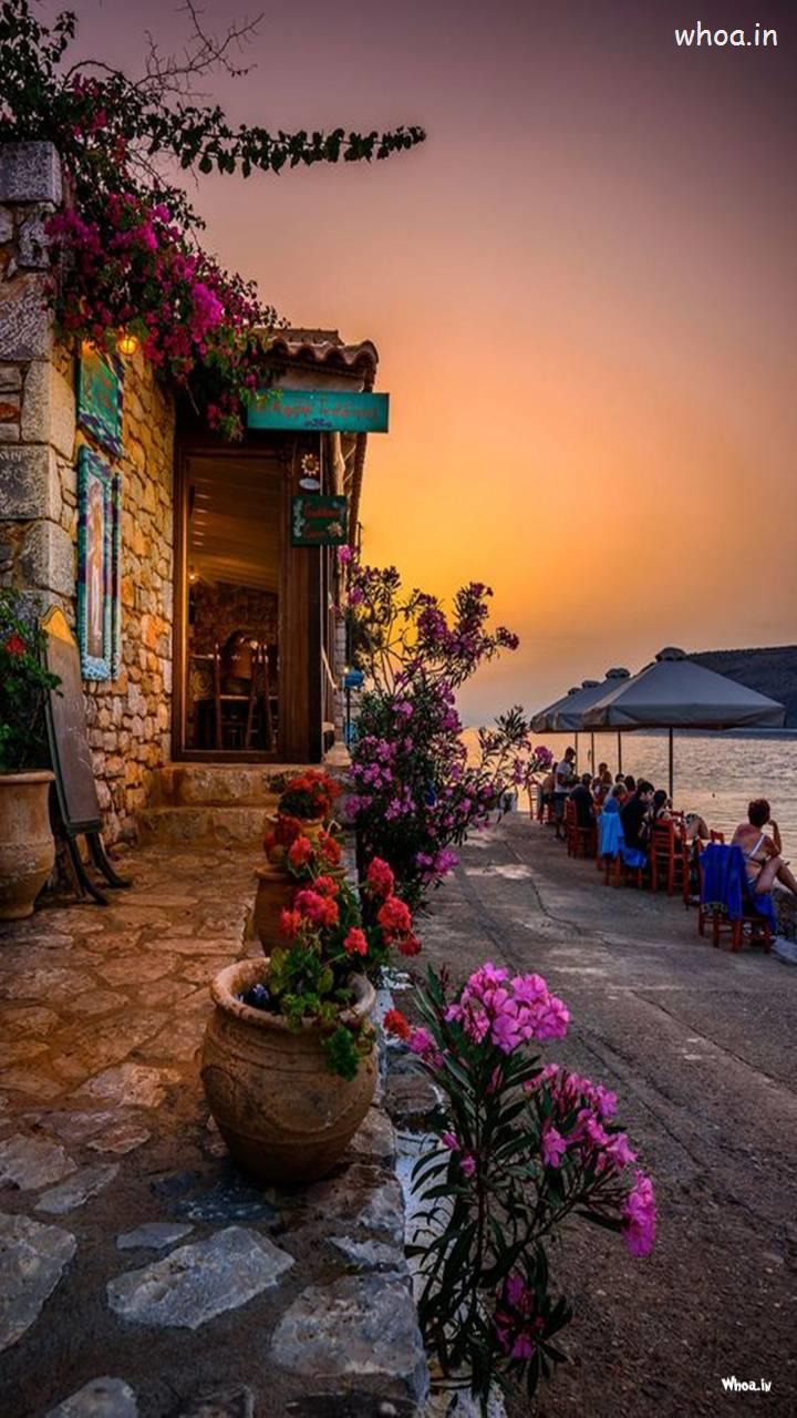 Natural Landscape Flowers HD Image & Mobile Wallpaper
