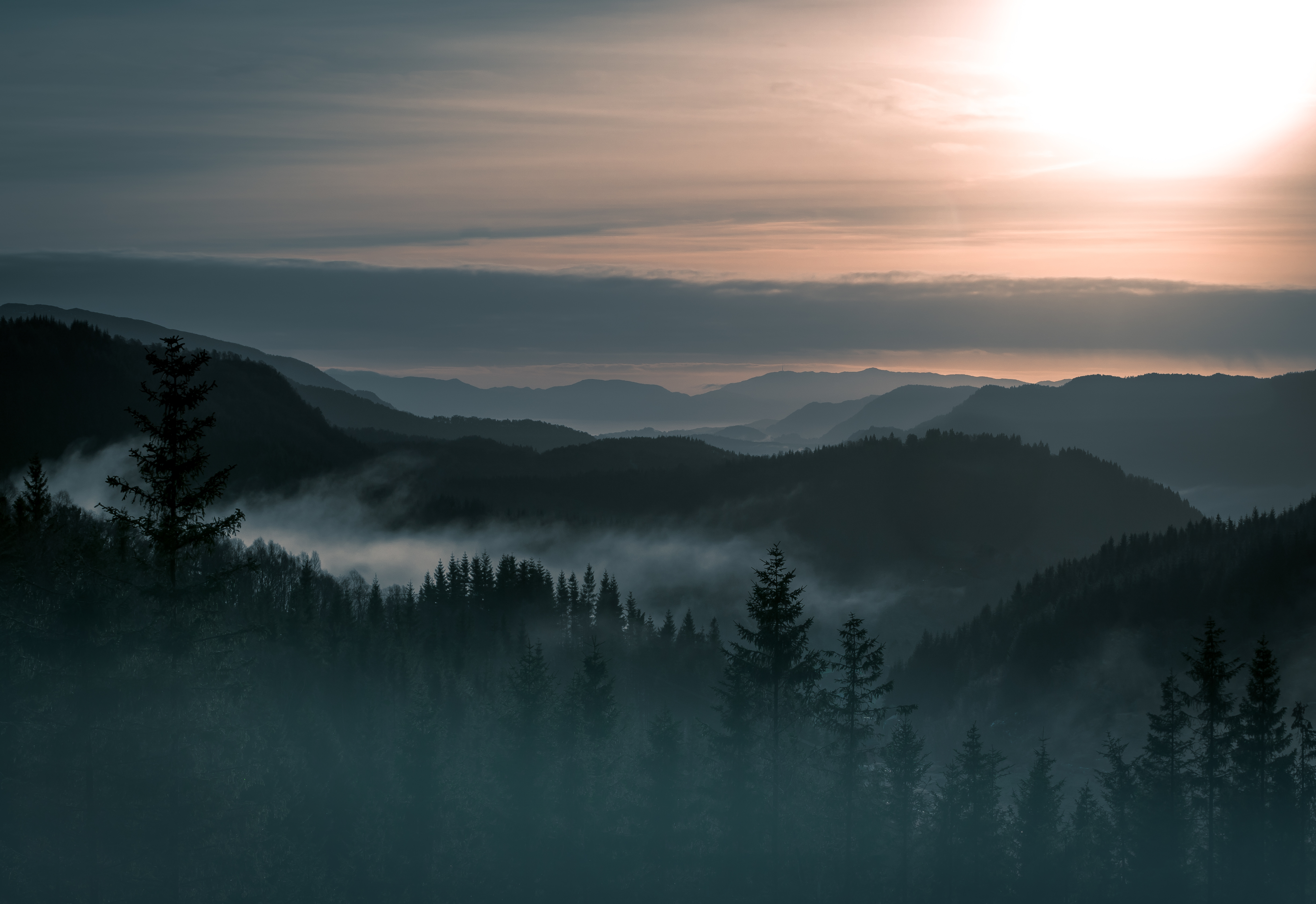 4K, Norway, Mountains, Fog, Forest Gallery HD Wallpaper