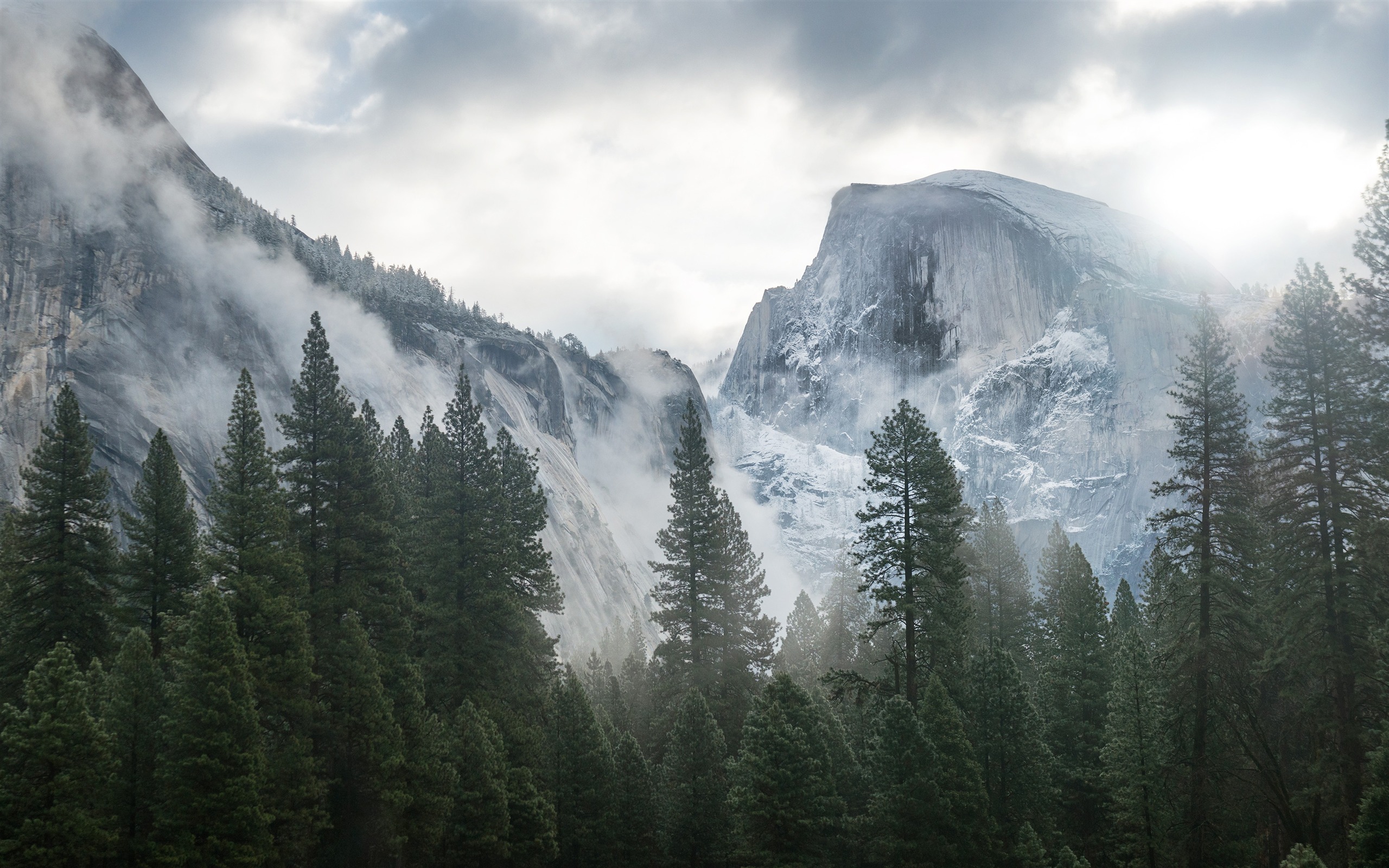 Yosemite Winter Fog Forest 4K HD Desktop