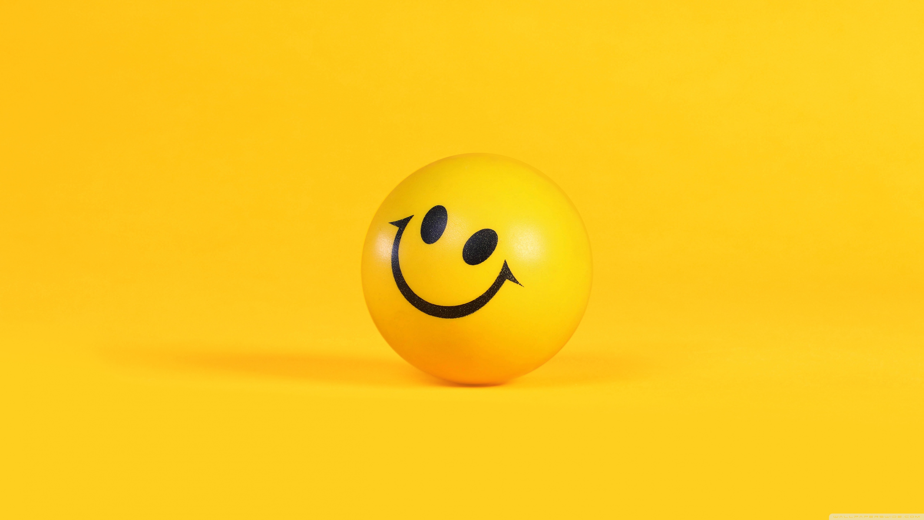 Smiley Ultra HD Desktop Background Wallpaper for 4K UHD TV, Widescreen & UltraWide Desktop & Laptop, Multi Display, Dual & Triple Monitor, Tablet