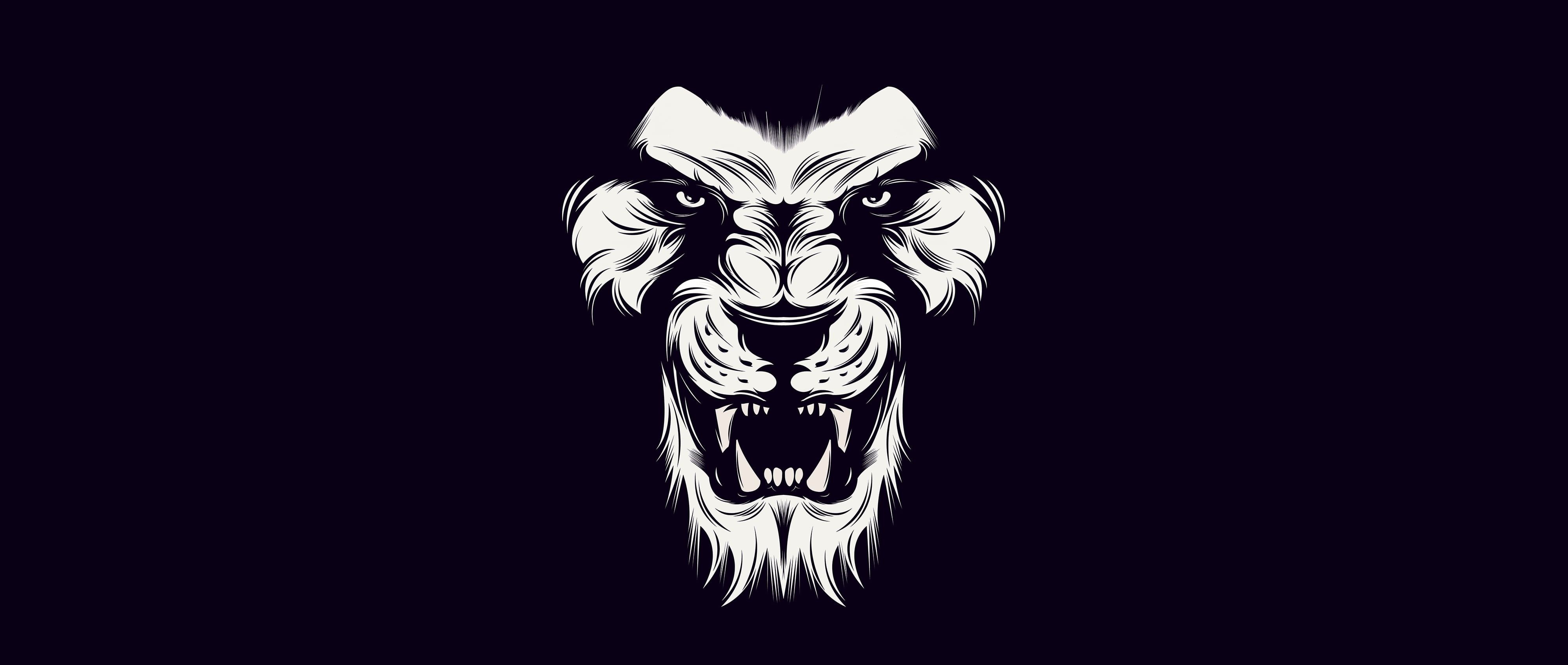HD wallpaper: black, lion, White