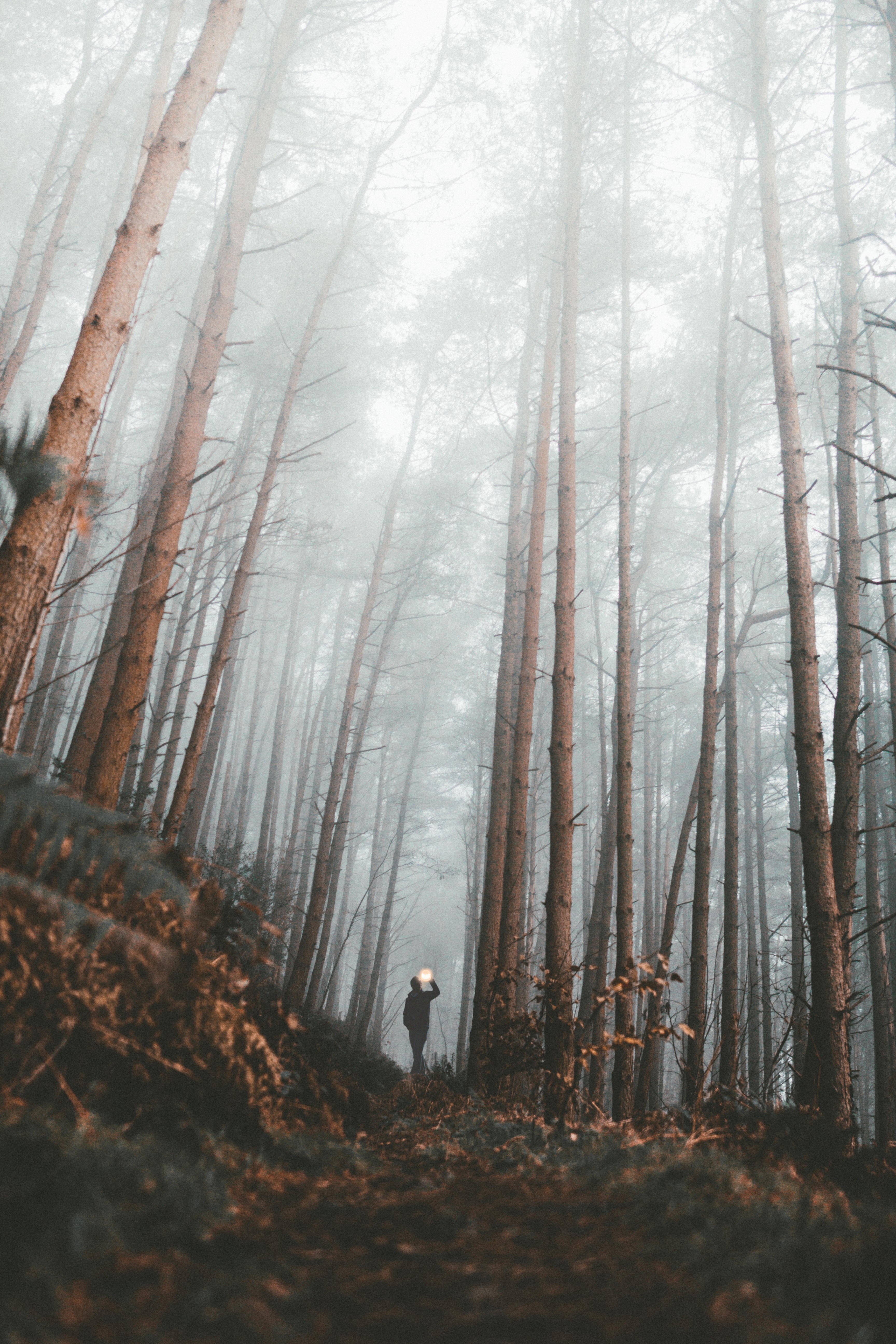 Wallpaper / searching lost places 4k wallpaper free download