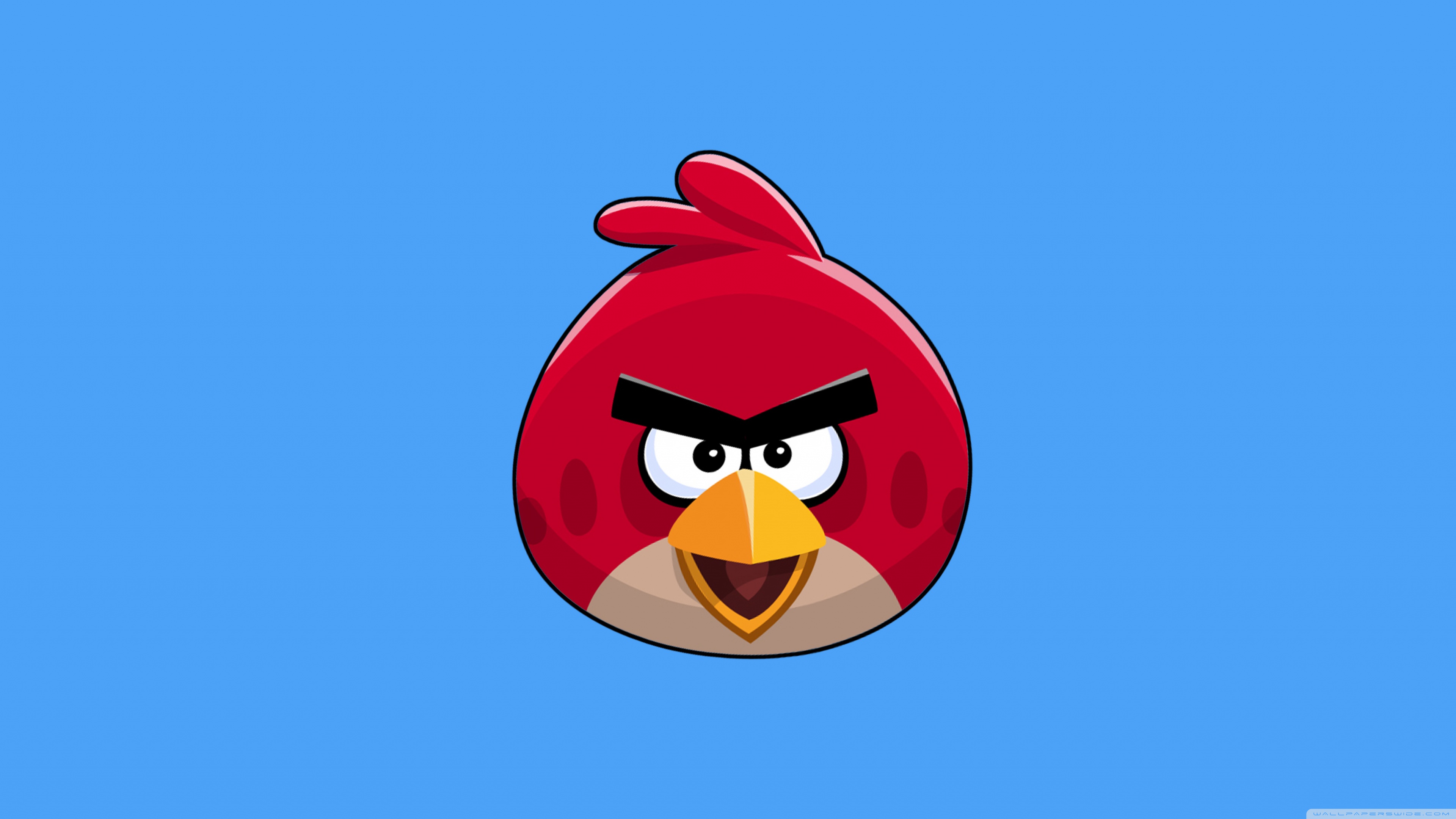 Angry Bird Ultra HD Desktop Background Wallpaper for 4K UHD TV, Widescreen & UltraWide Desktop & Laptop, Multi Display, Dual Monitor, Tablet