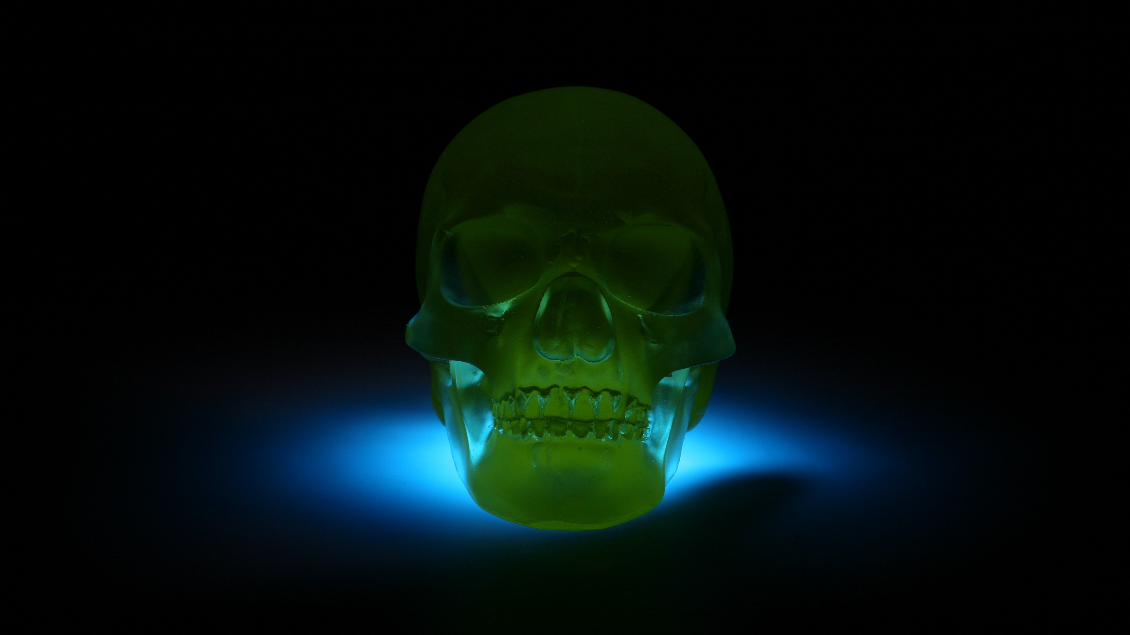Wallpaper 4k skull, 3D model, neon, shadow 4k Wallpaper