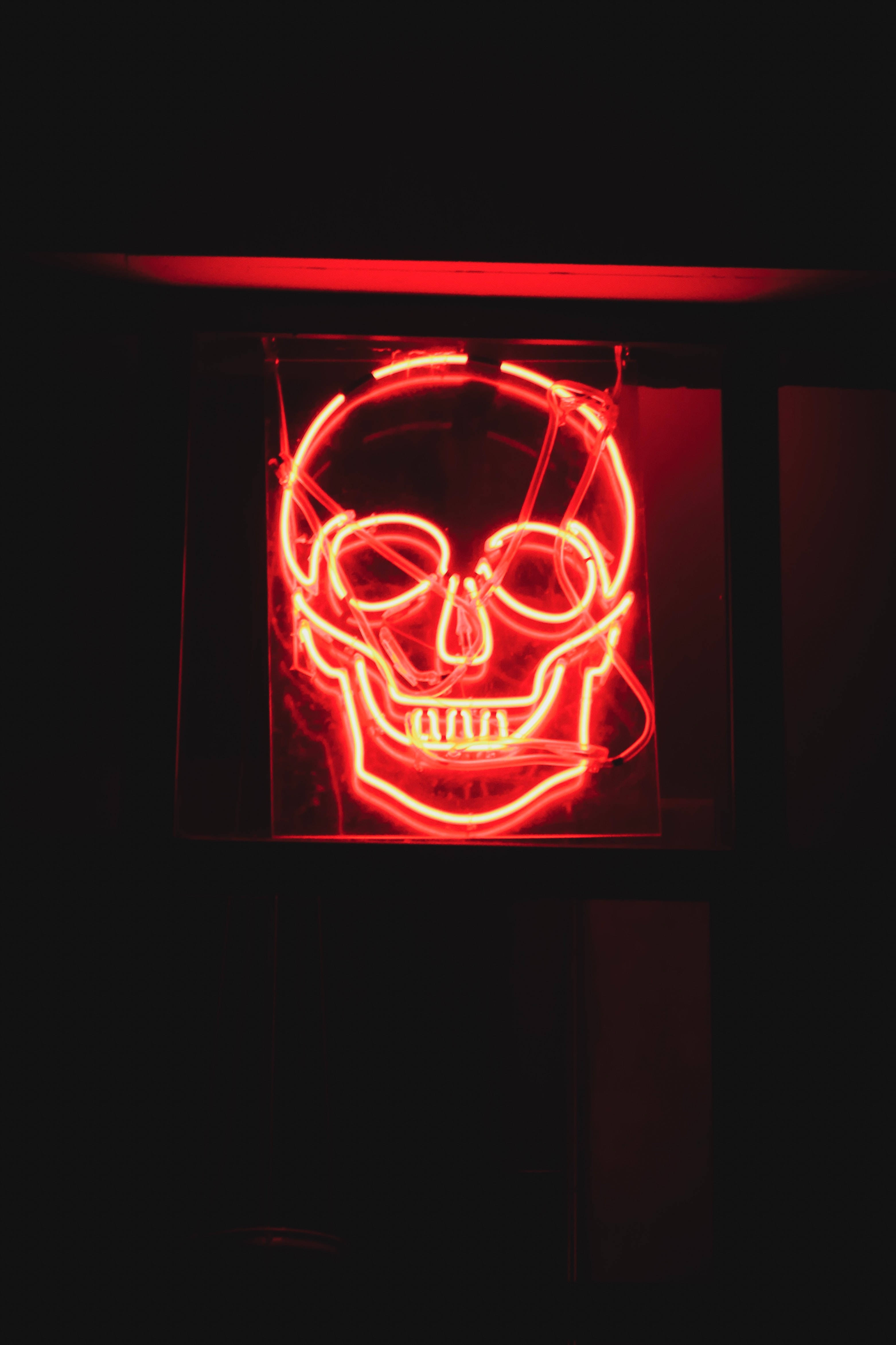 Download Skull Wallpaper