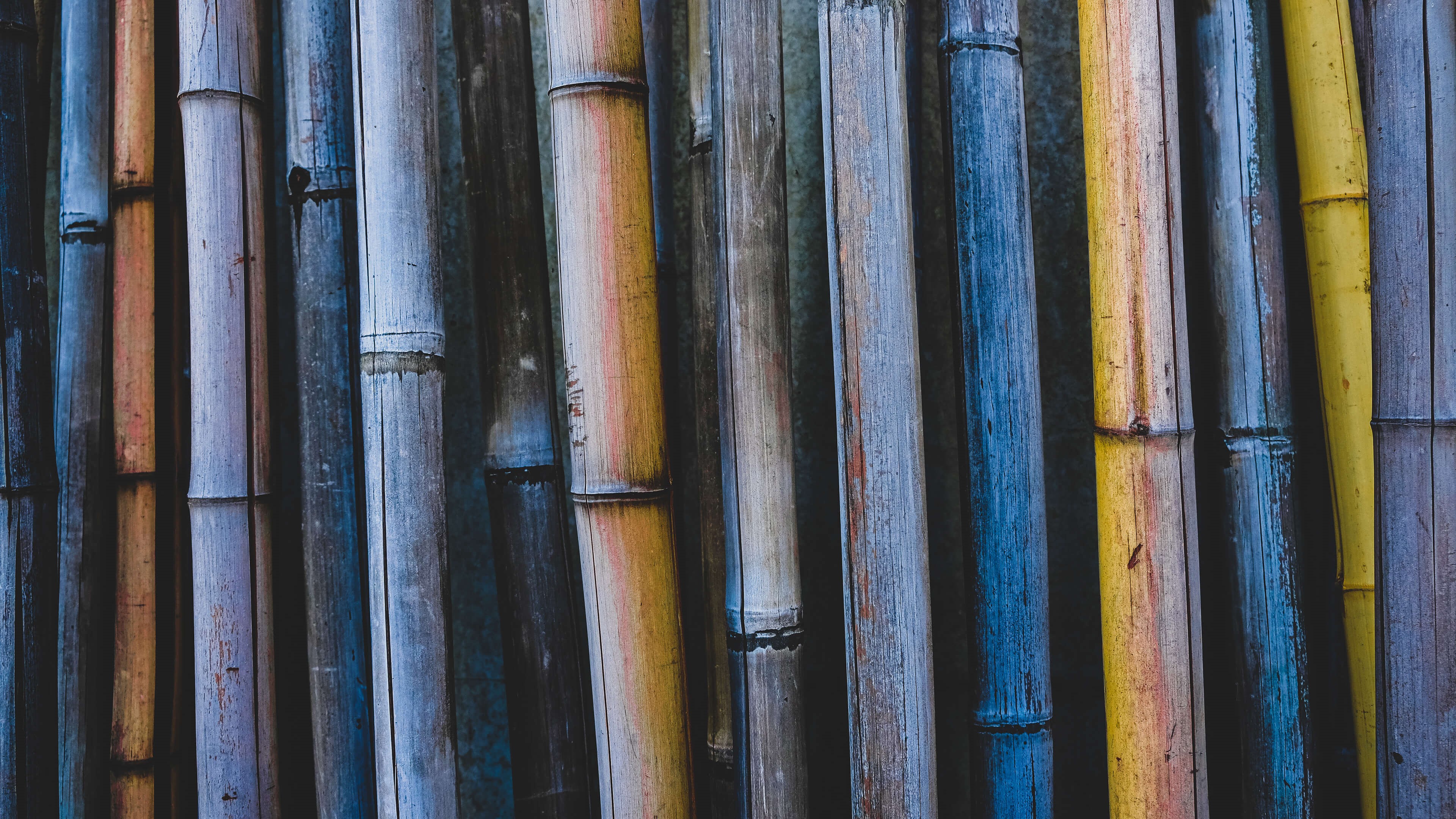 4K, nature, bamboo, wood Gallery HD Wallpaper