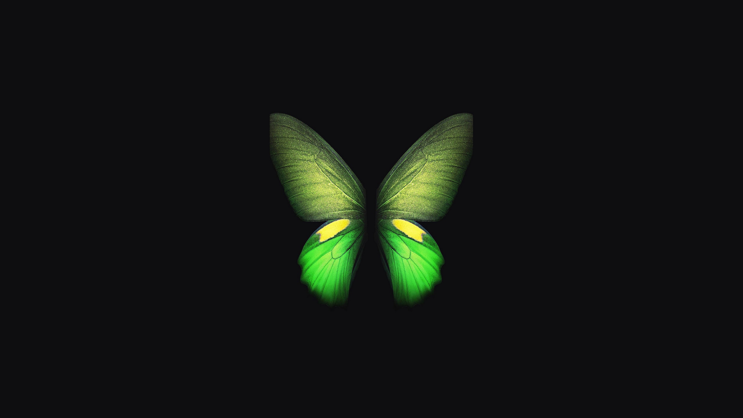 Wallpaper / samsung galaxy fold, butterfly, samsung, stock, hd, original, 4k, artist, digital art, dark, black, oled free download