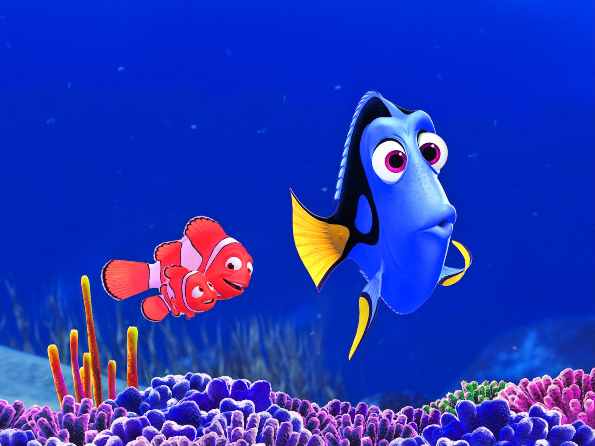 Finding Nemo HD Wallpaper and Background