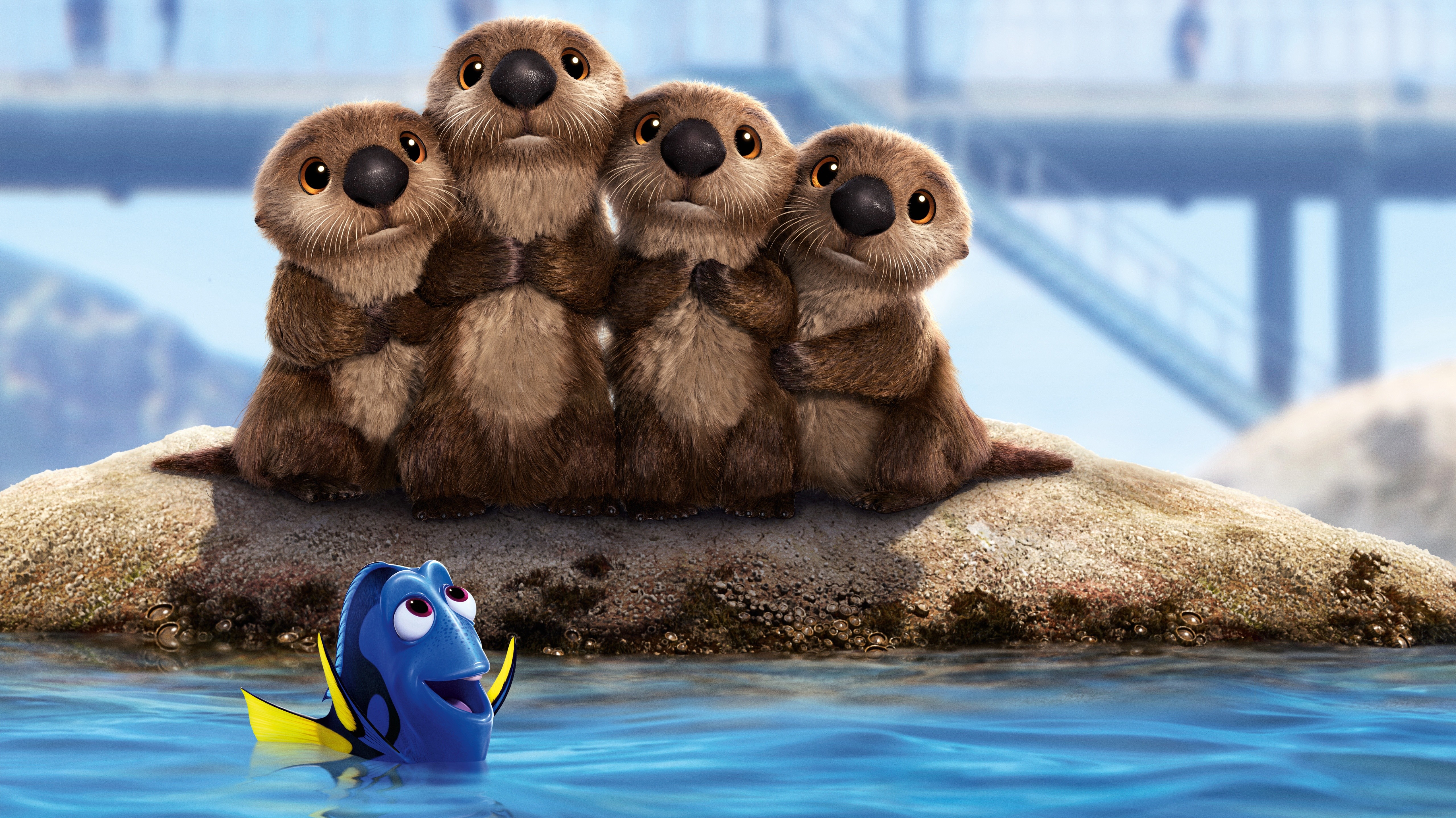 Wallpaper Finding Dory, beavers, nemo, fish, animation, Movies