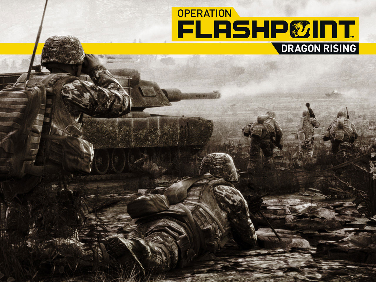 Download Operation Flashpoint: Dragon Rising wallpaper for mobile phone, free Operation Flashpoint: Dragon Rising HD picture