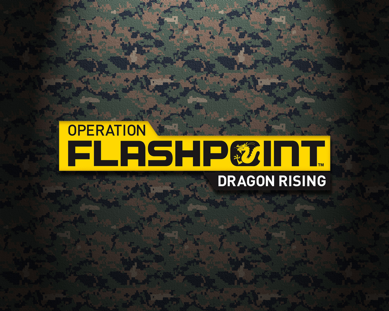 Operation Flashpoint Dragon Rising wallpaper Games Blogger