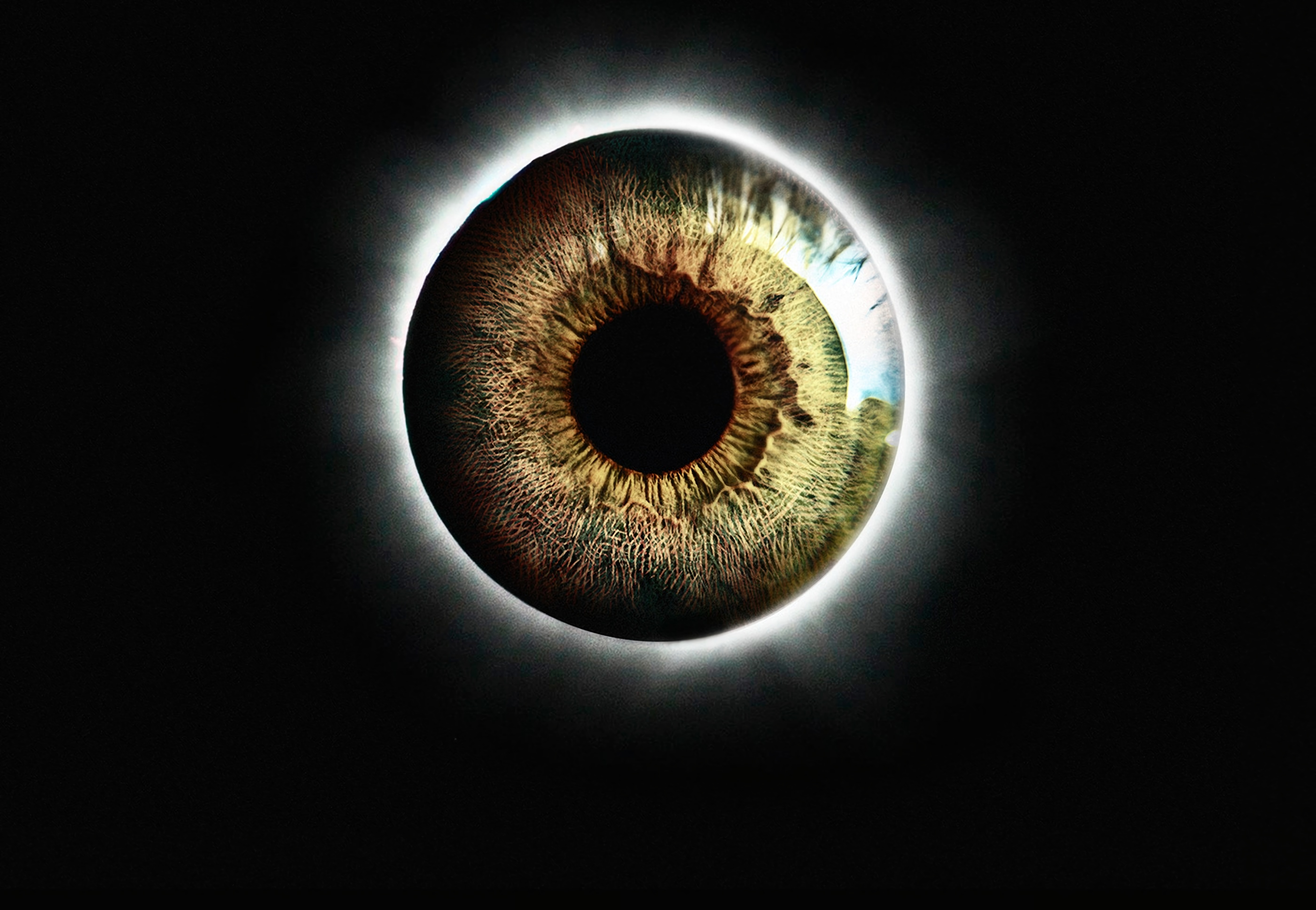 Download Realistic wallpaper for mobile phone, free Realistic HD picture