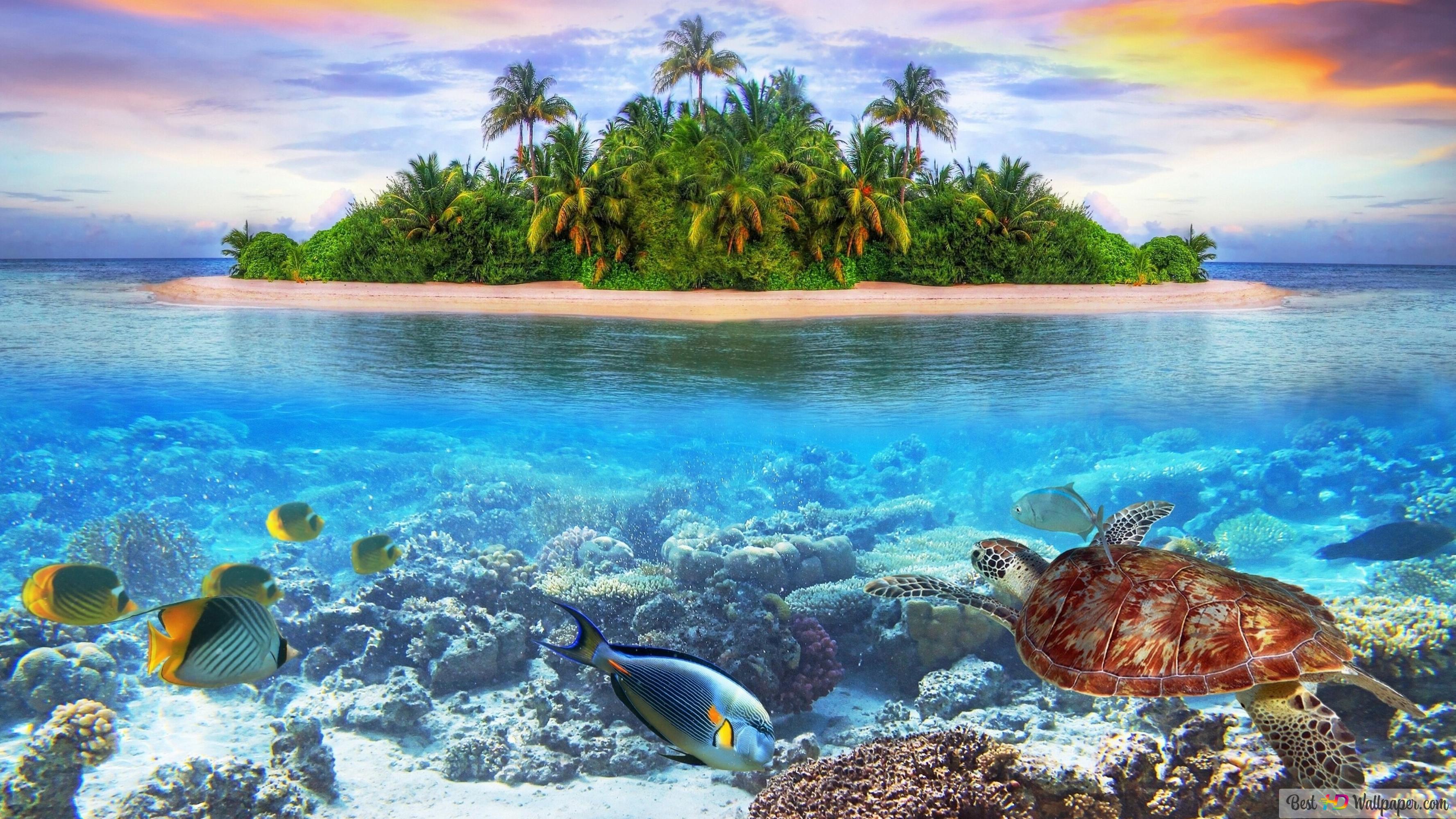 Island, Under the sea 4K wallpaper download