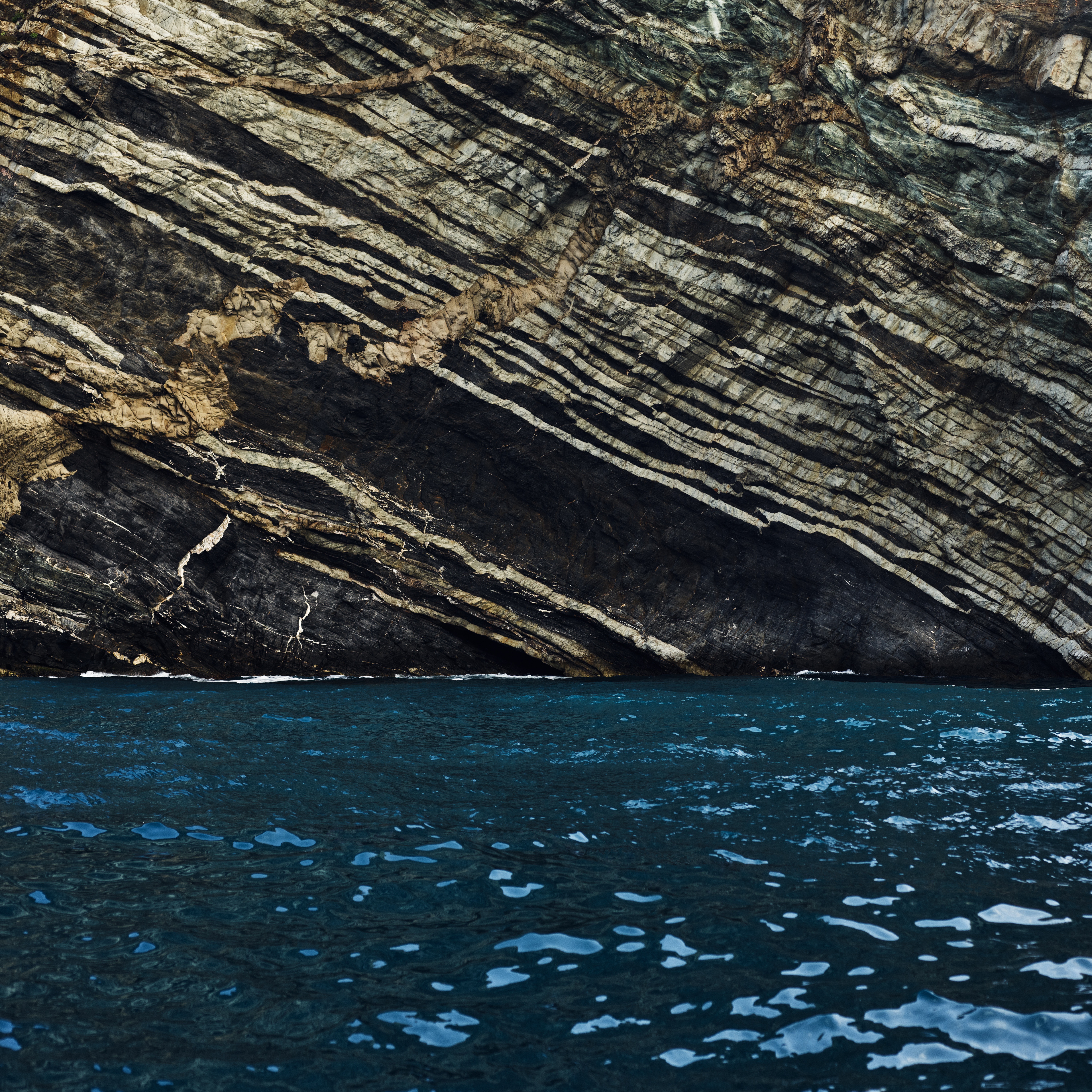 Download 7 new beautiful Catalina desktop wallpaper for macOS 10.15