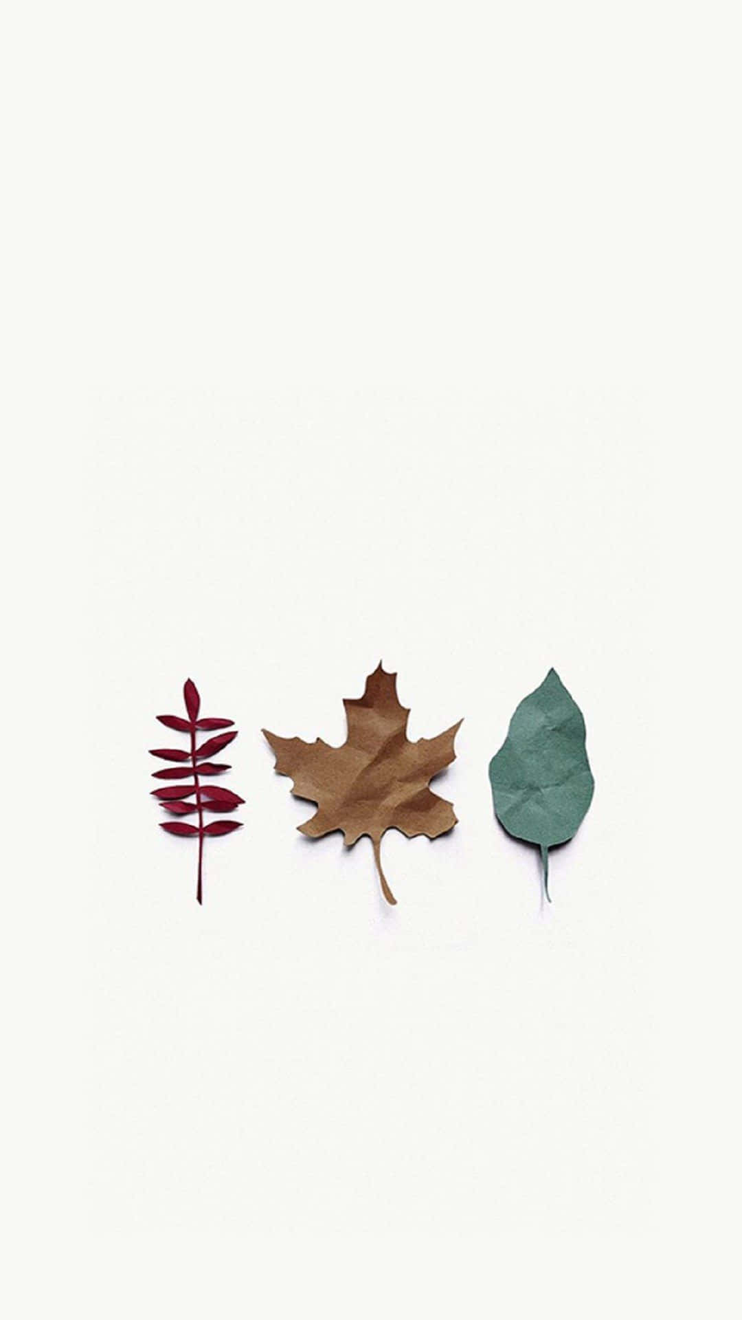 Download Simple Autumn iPhone Screen Theme Wallpaper