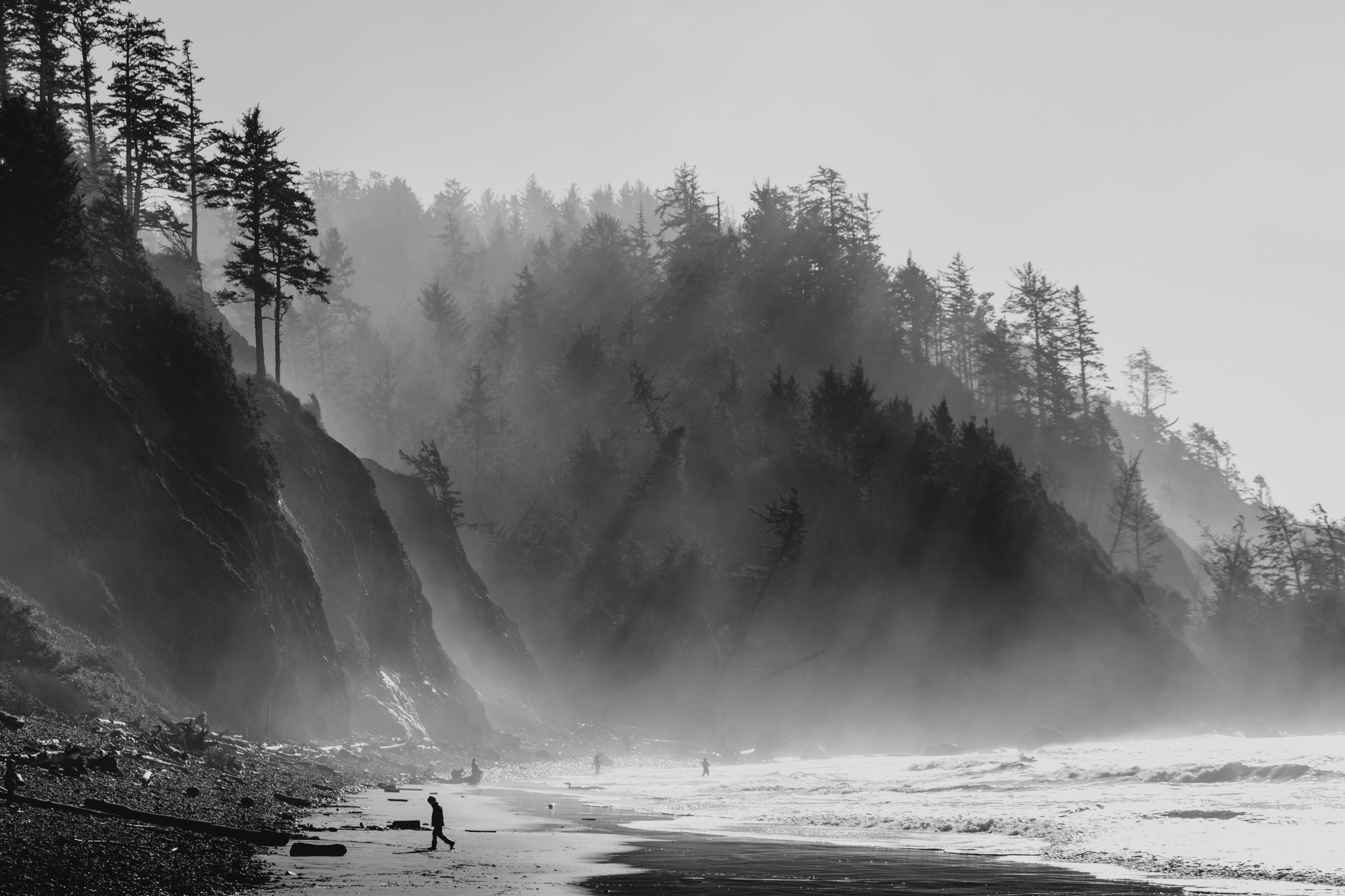Wallpaper / classic oregon coast 4k wallpaper free download