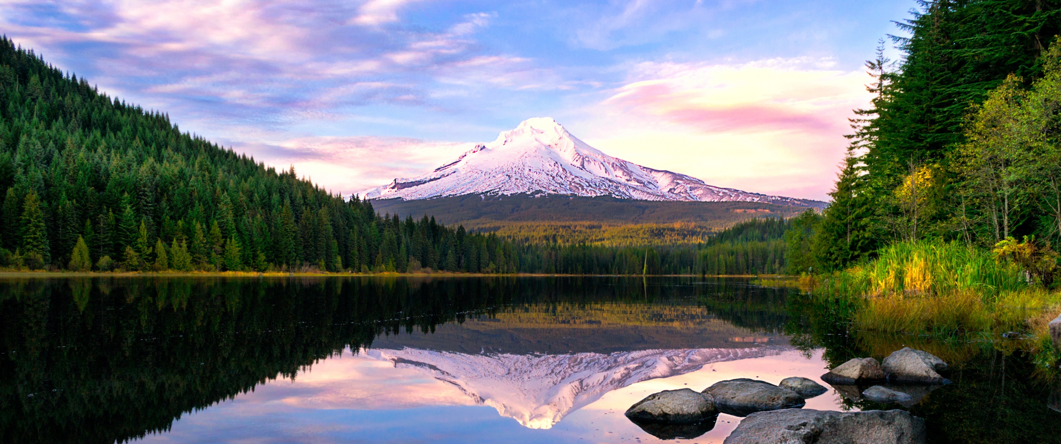 Trillium Lake Wallpaper 4K, Mount Hood, Pine trees, Forest