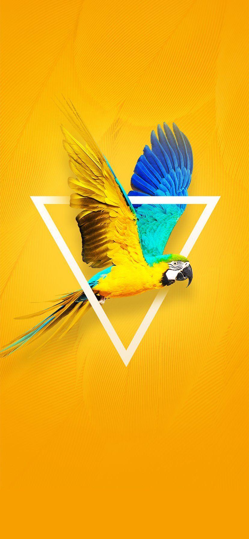 iPhone XR Yellow Wallpaper