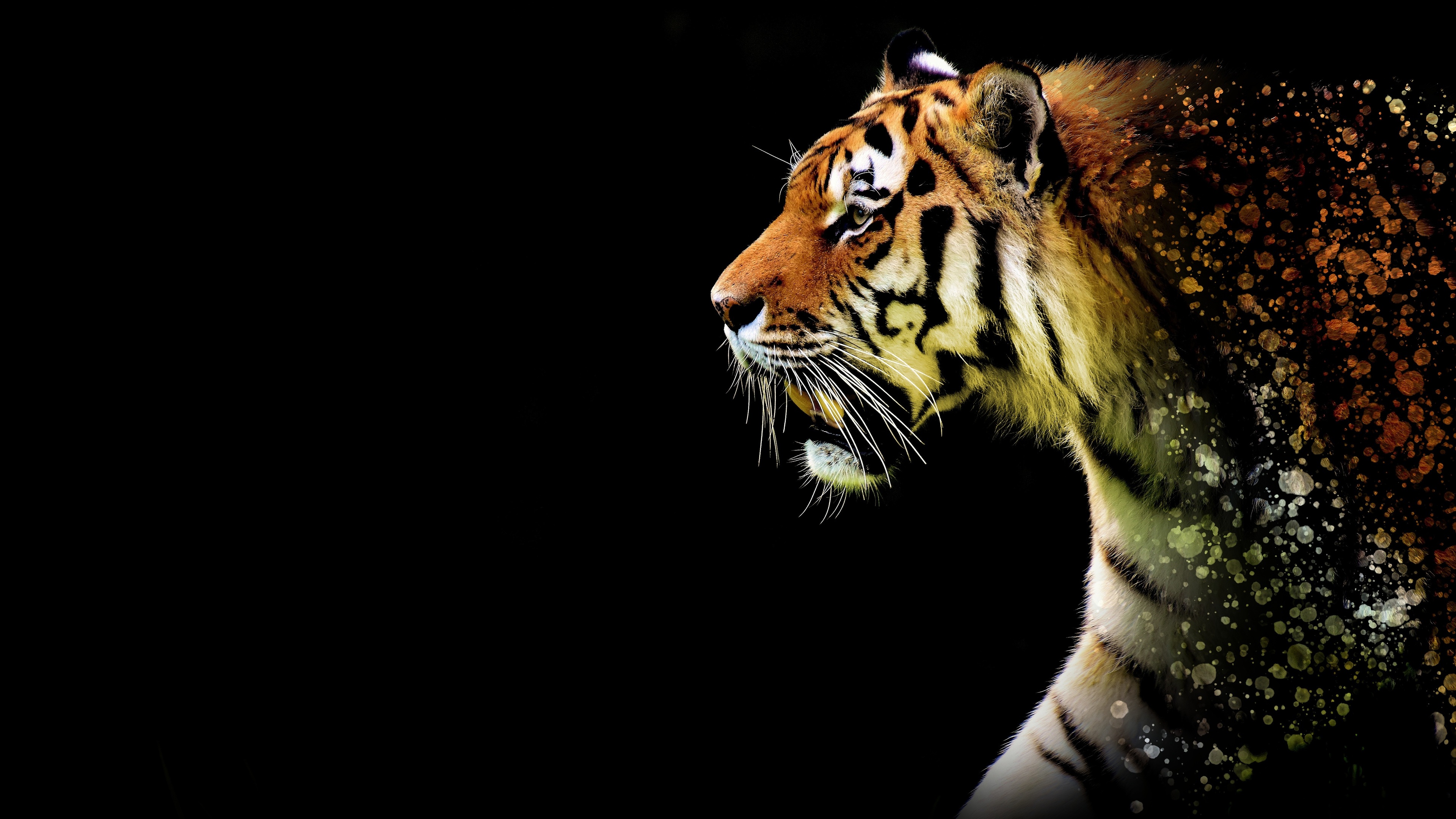 Wallpaper 4k Tiger Abstract 4k Wallpaper