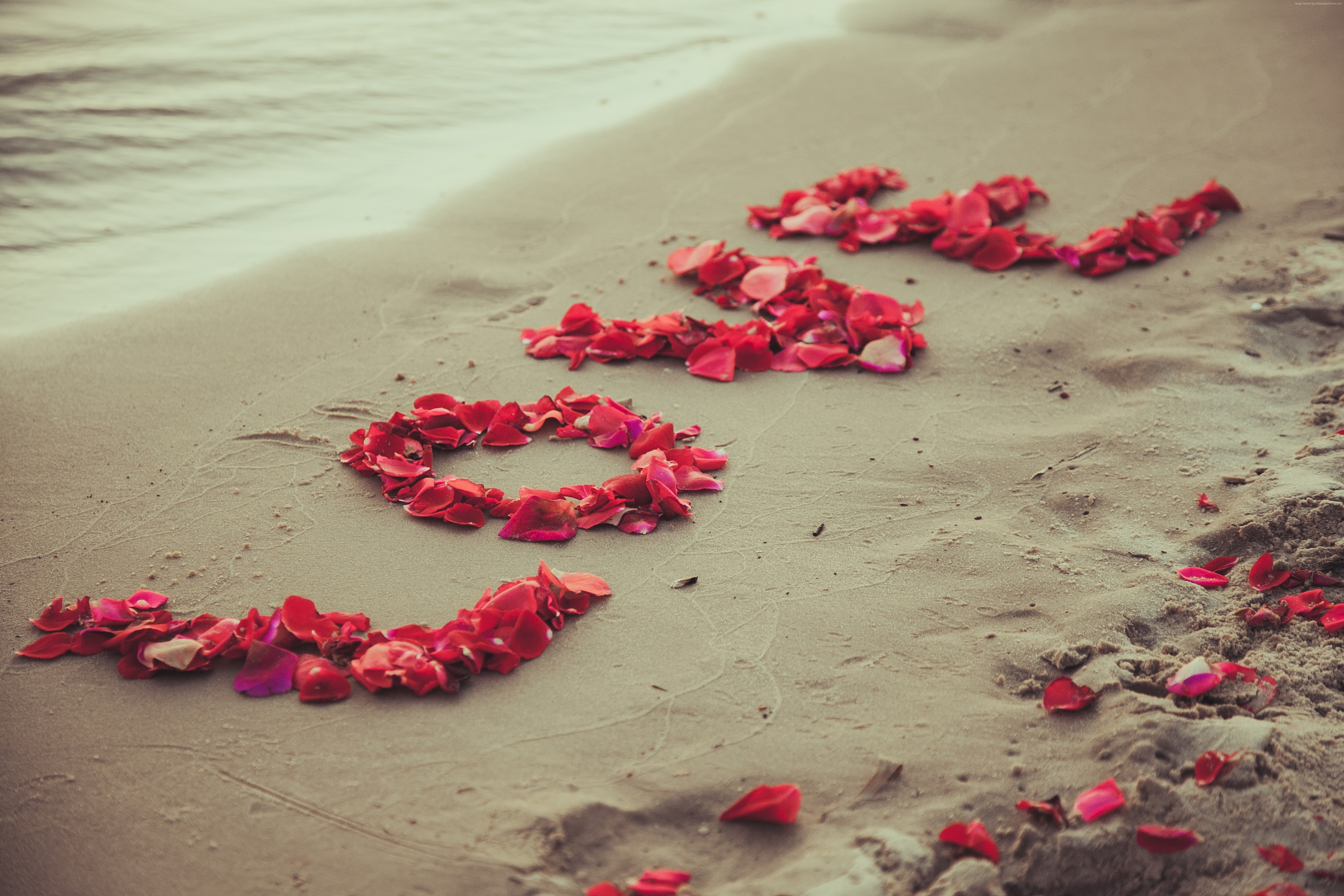 5k, beach, sea, love image, heart, flowers Gallery HD Wallpaper
