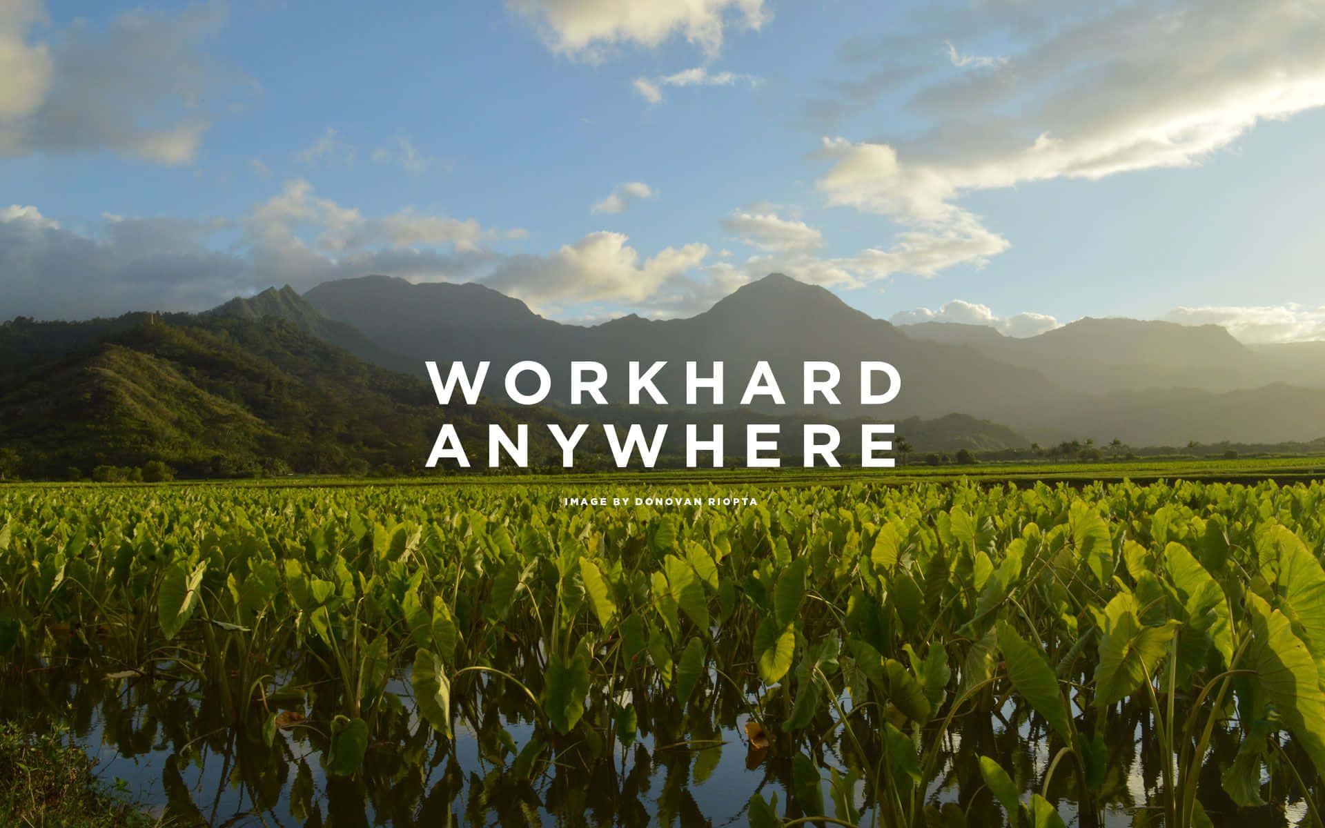 Download Workhard Anywhere Wallpaper