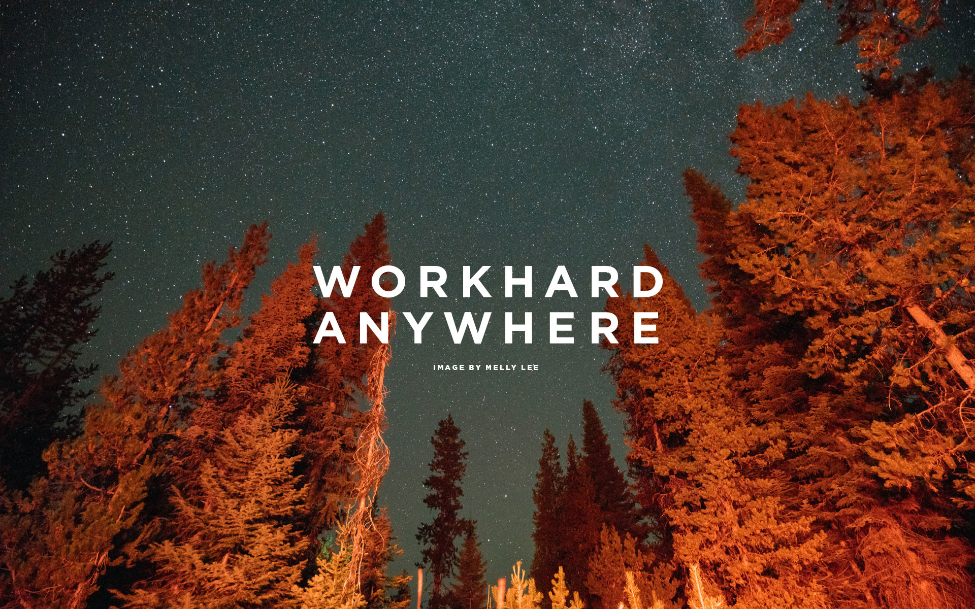 Work Hard Wallpaper