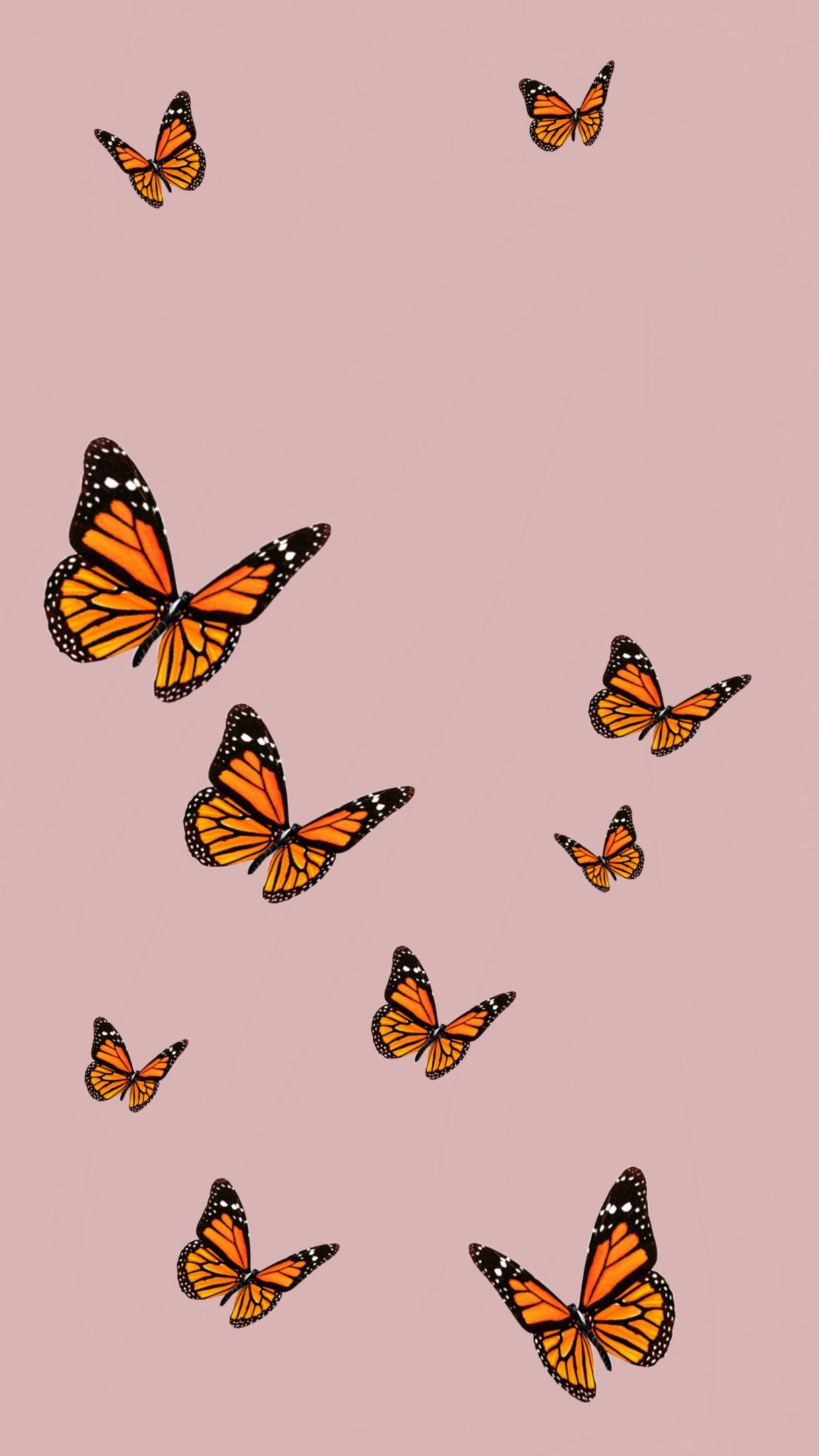Pink Butterfly Aesthetic Wallpaper Free download