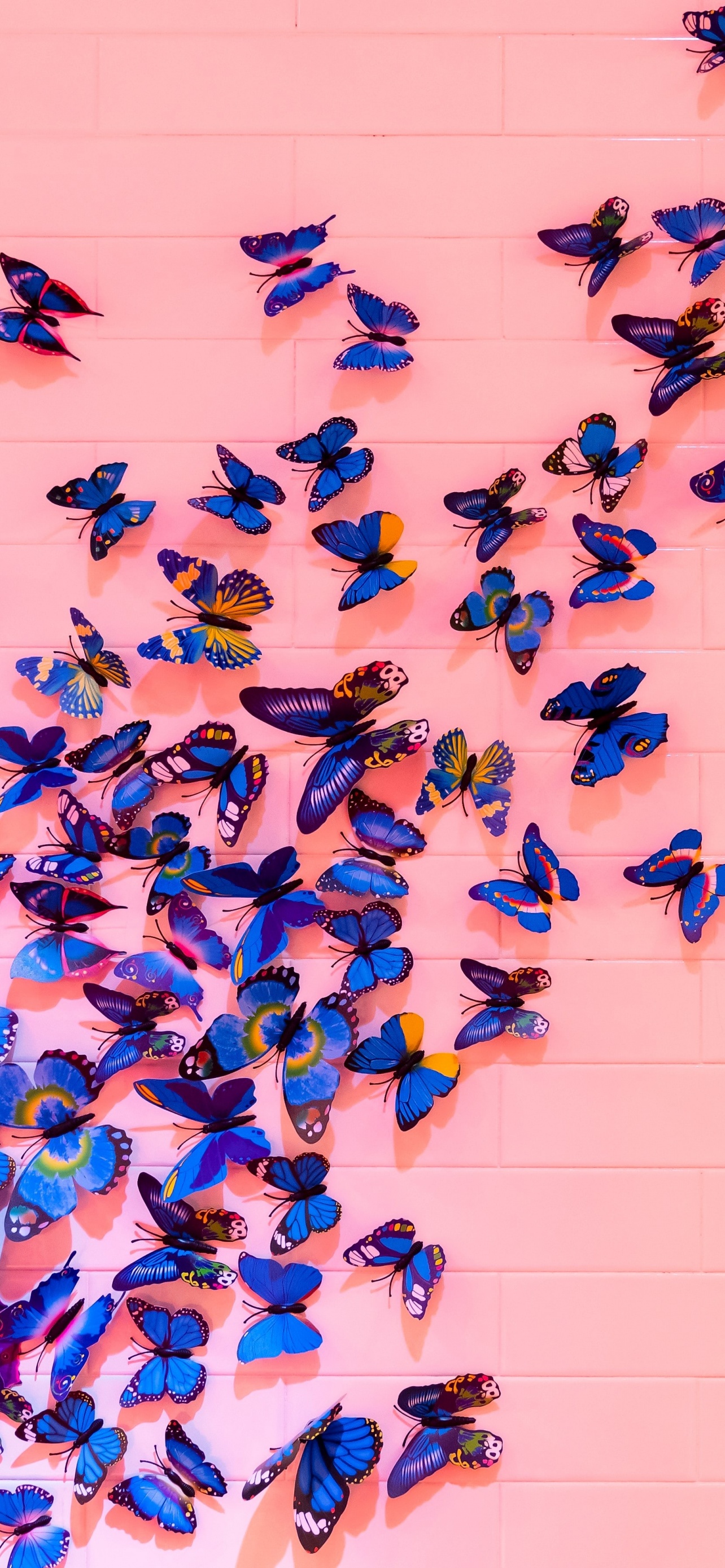 Blue butterfly Wallpaper 4K, Pink background, Wall, Decoration