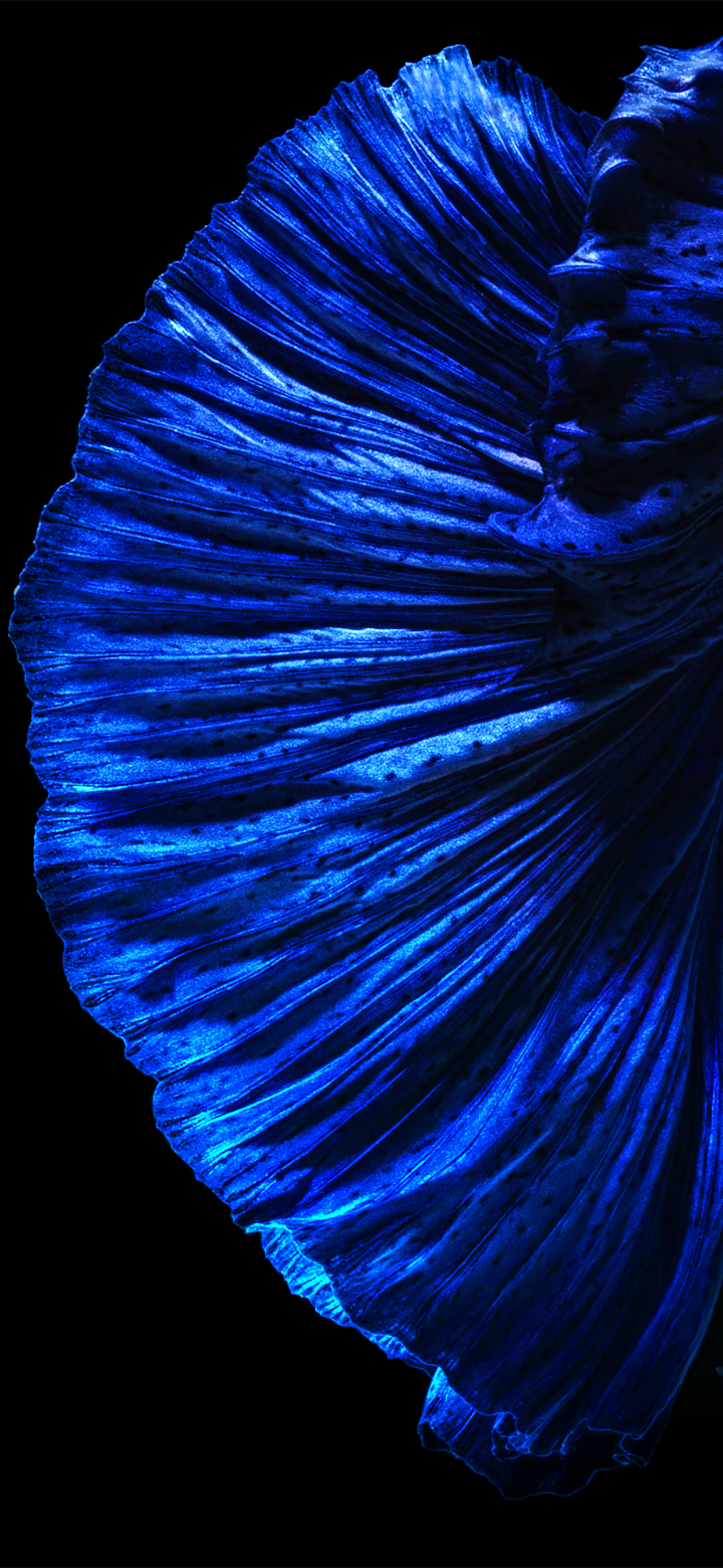 Huawei P30 Pro Wallpaper (YTECHB Exclusive). Huawei wallpaper, Best wallpaper android, Wallpaper image hd