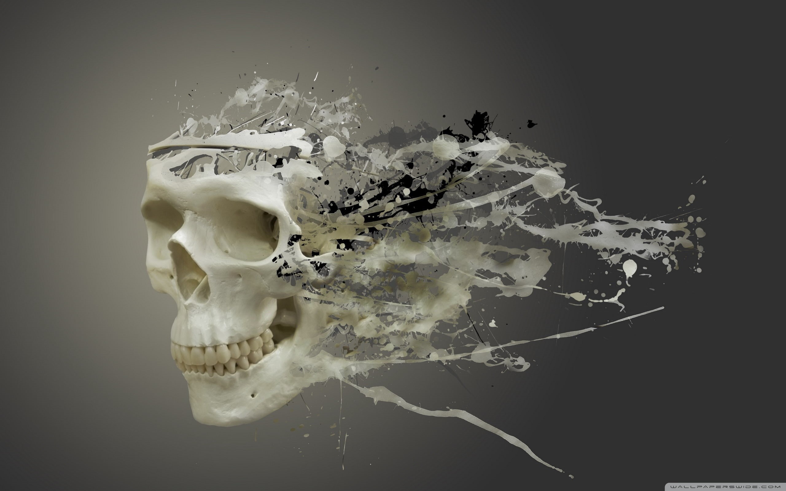 skull wallpaper 2560x1600 1080P, 2k, 4k Full HD Wallpaper, Background Free Download