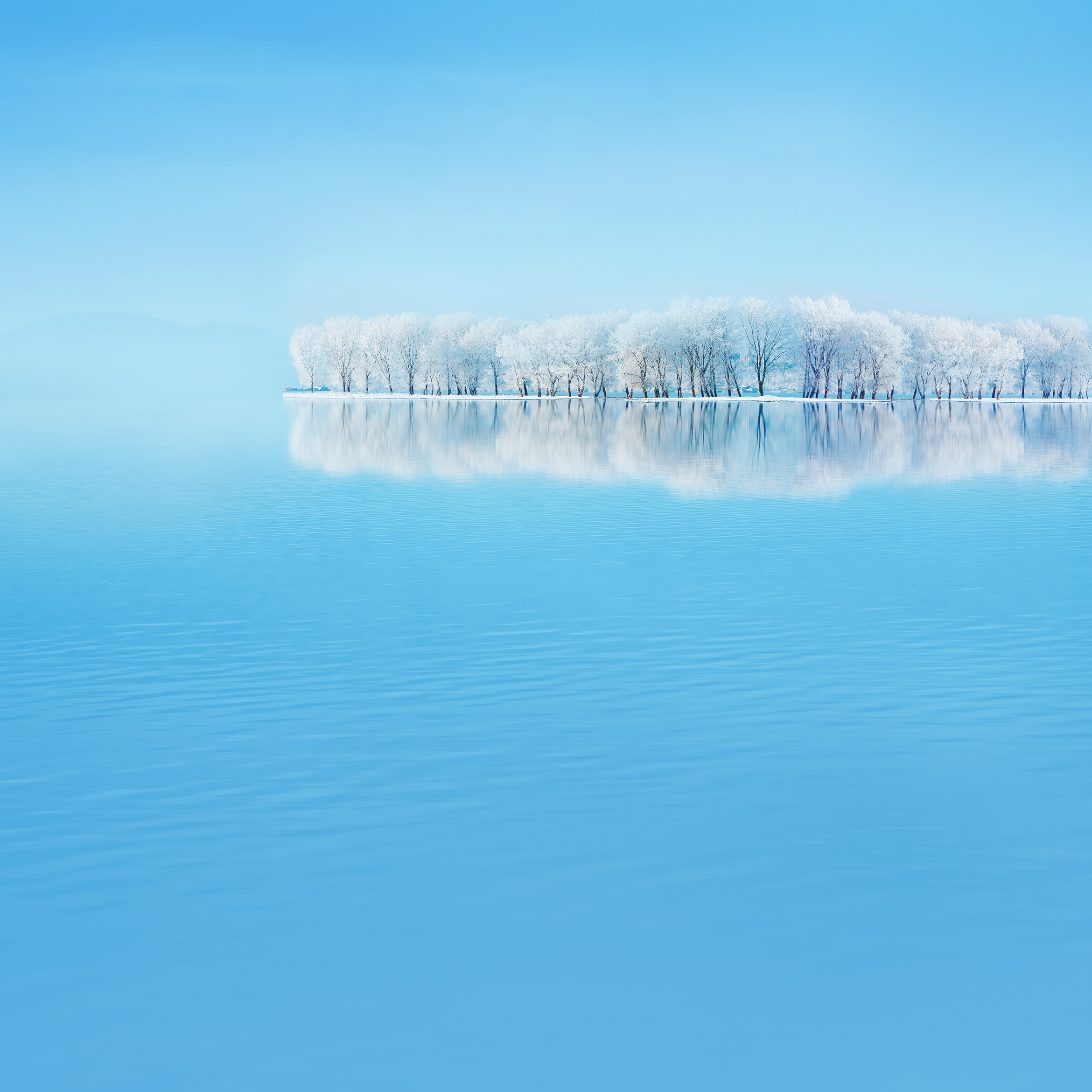 Huawei P30 Pro Stock Wallpaper (UHD)