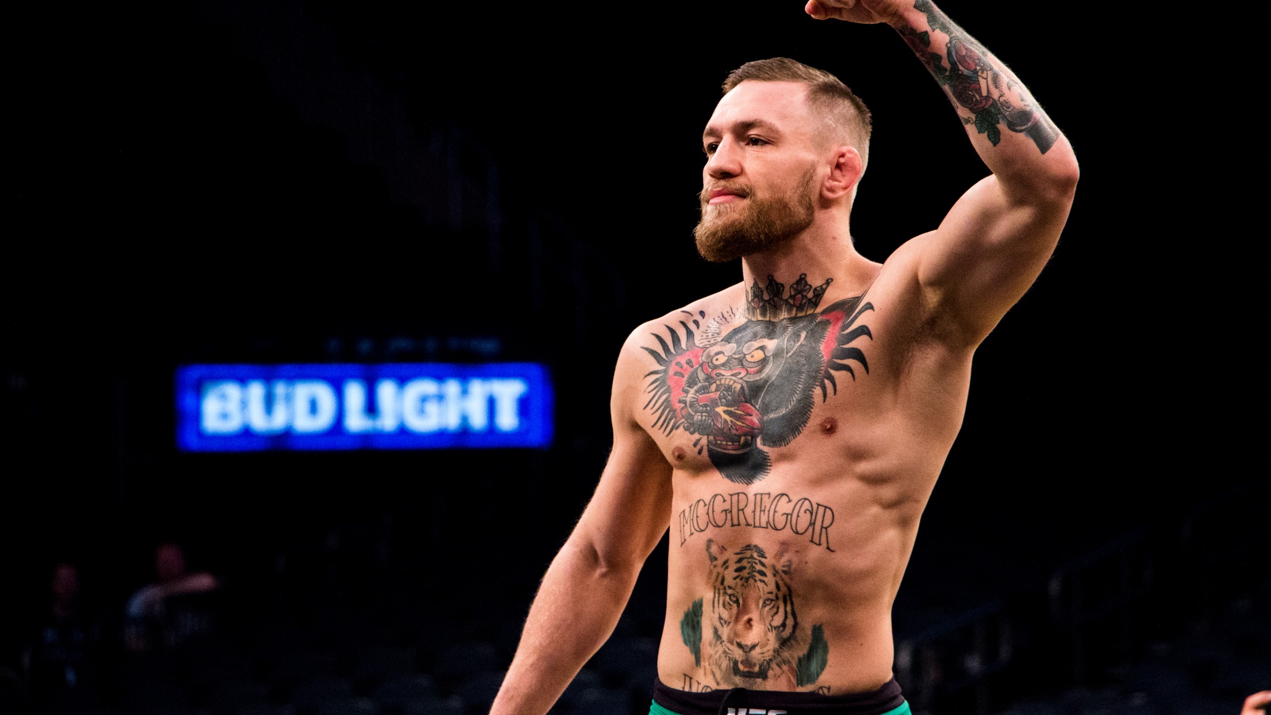 Wallpaper Conor McGregor, boxing, 4k, Sport