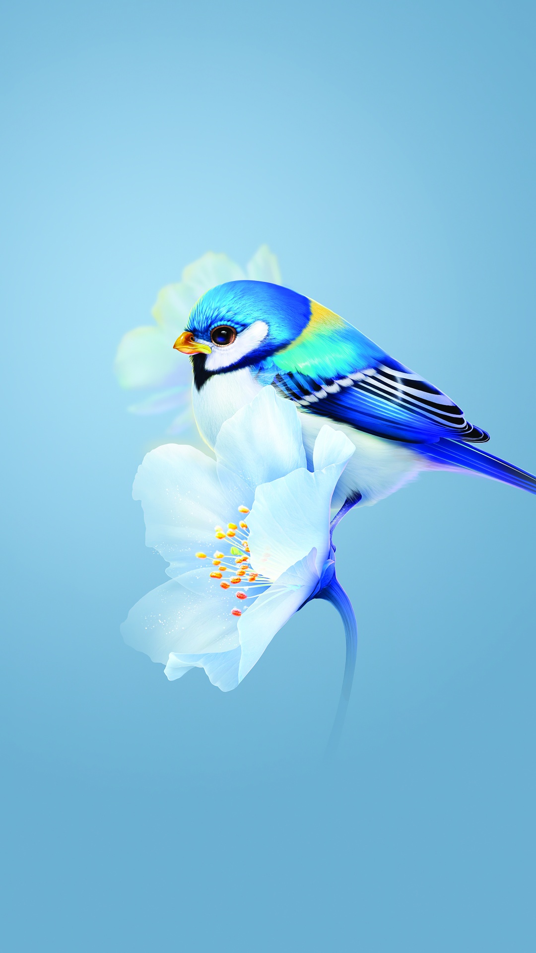 Cute bird Wallpaper 4K, Blue flower, Blue background