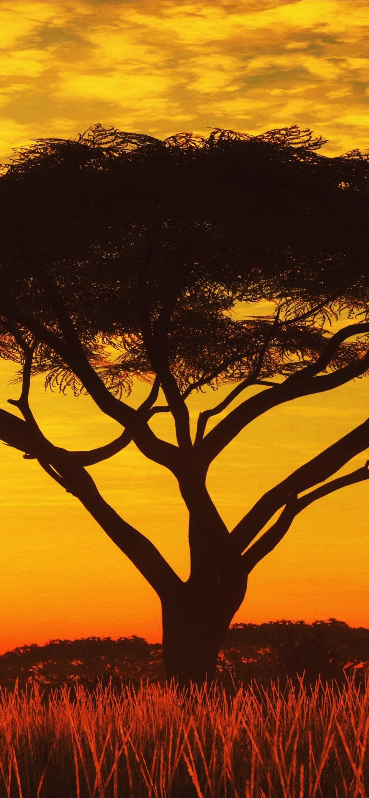 Free download Serengeti Sunset 4k Samsung Galaxy Note 9 8 S9 S8 iPhone X [1242x2688] for your Desktop, Mobile & Tablet. Explore Galaxy Note 4K Wallpaper. Galaxy Note 4