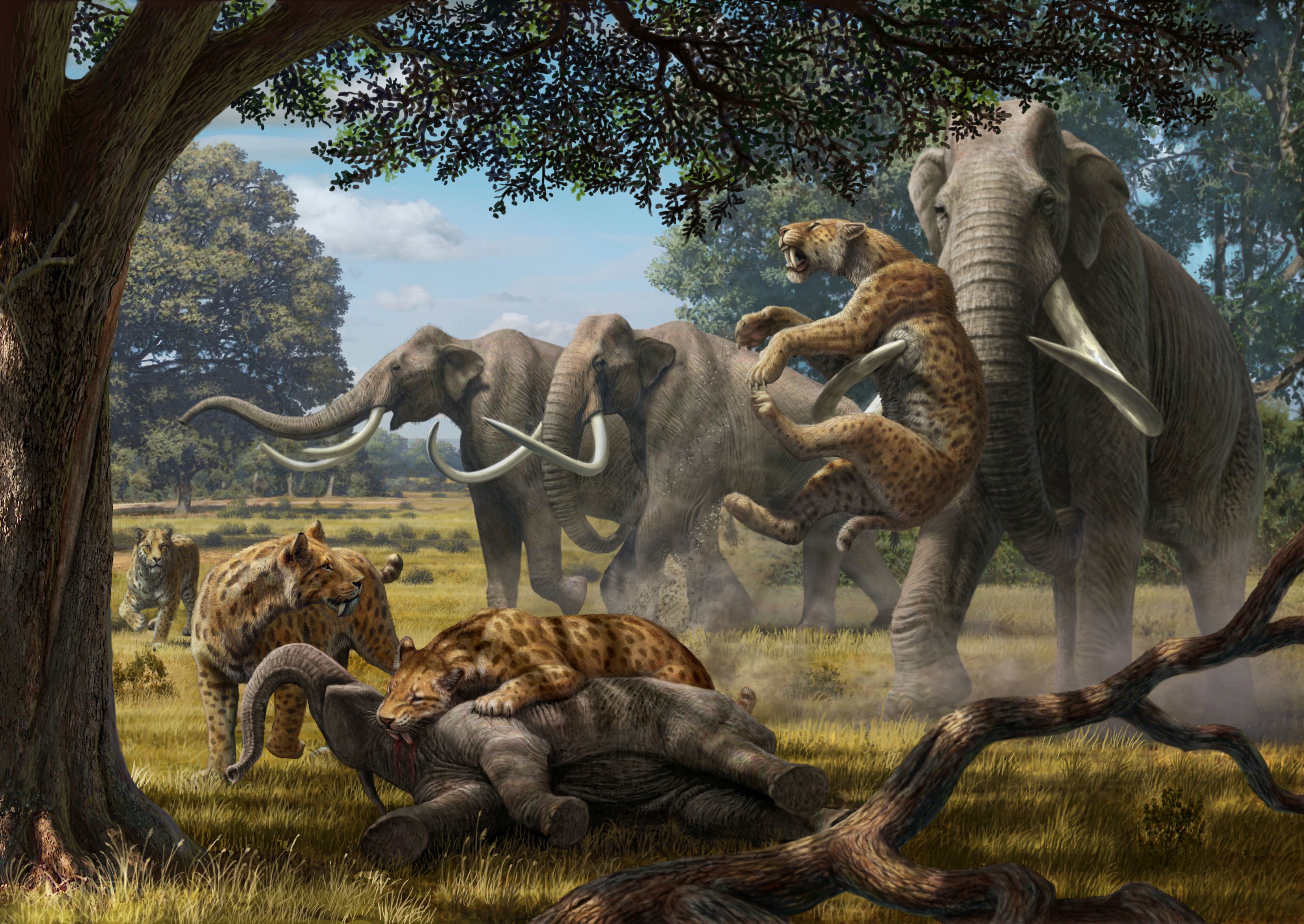Ancient animals, Mammoth, Fight, Hunting Gallery HD Wallpaper