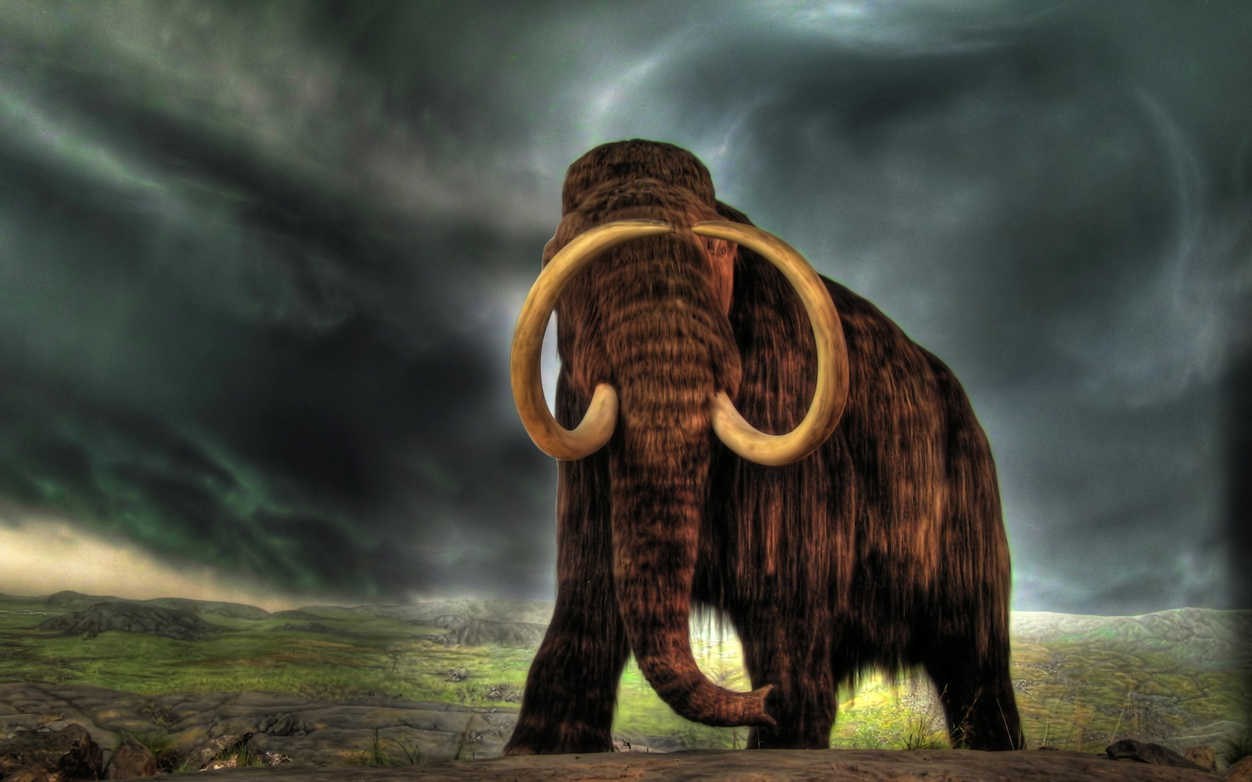 Photo Mammoth Animals Ancient animals