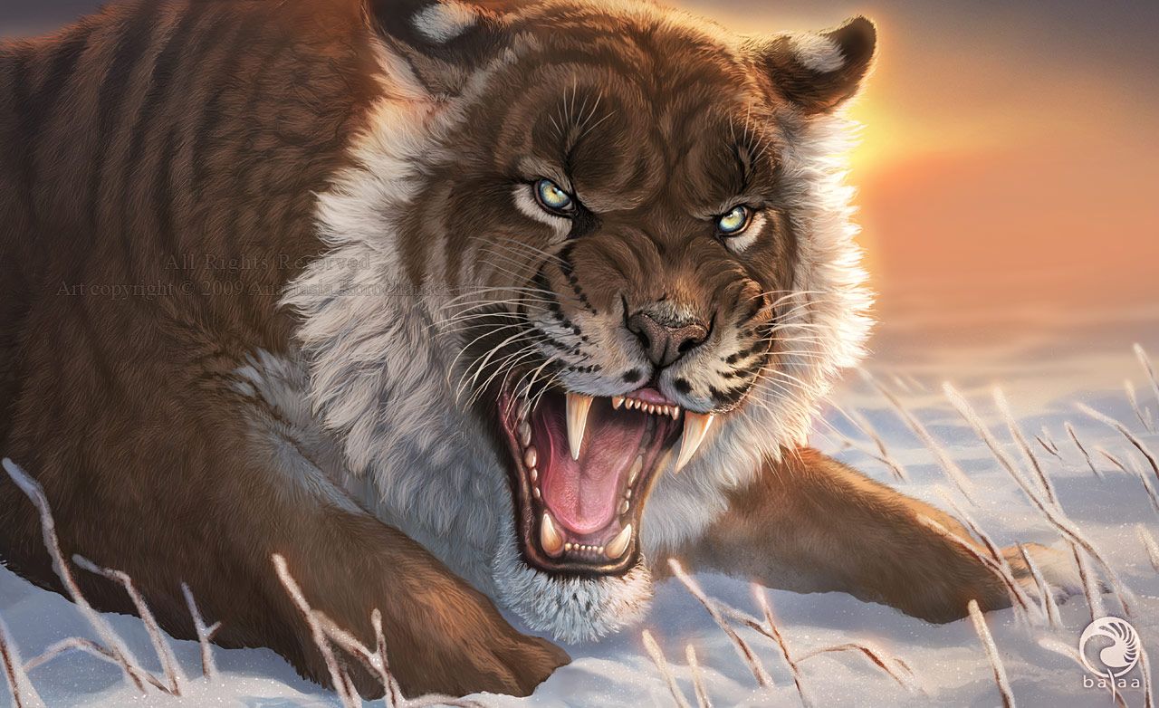 Fearful Beauty Balaa. Tiger wallpaper, Extinct animals, Tiger image