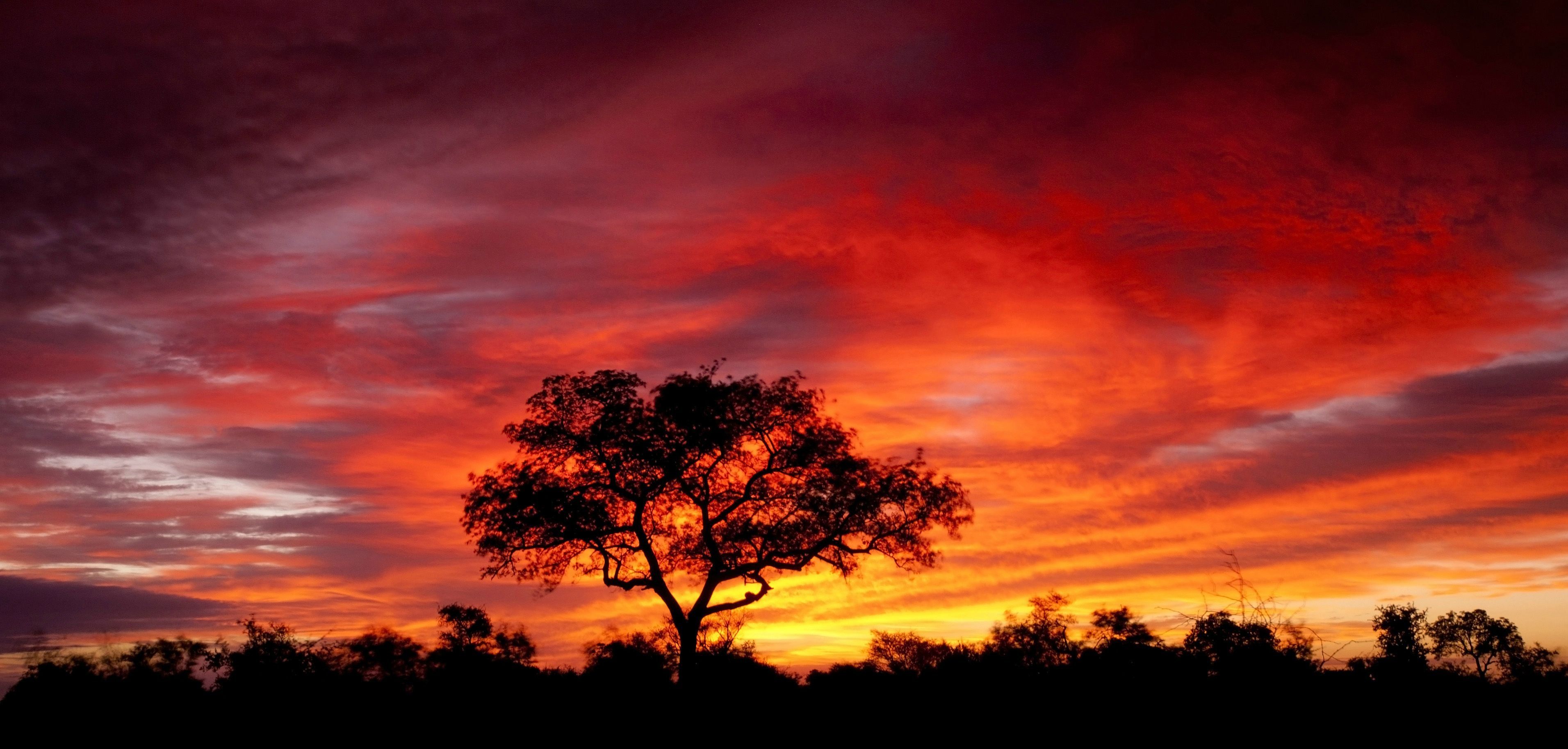 South African Sunset Computer Wallpaper, Desktop Backgroundx1827. South african sunset, Africa sunset, Sunset background
