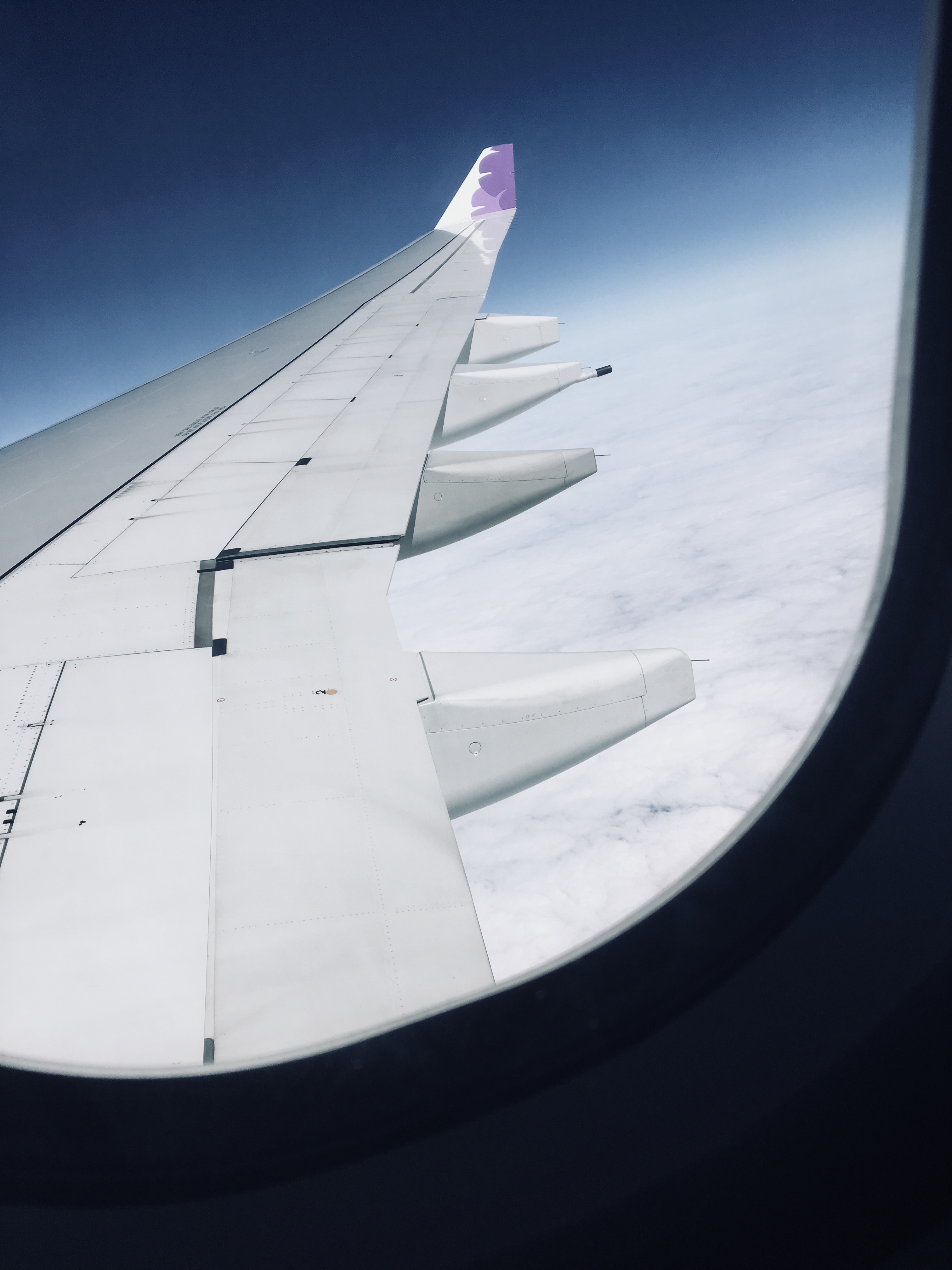 View of Airplane Wings from Inside a Plane · Free