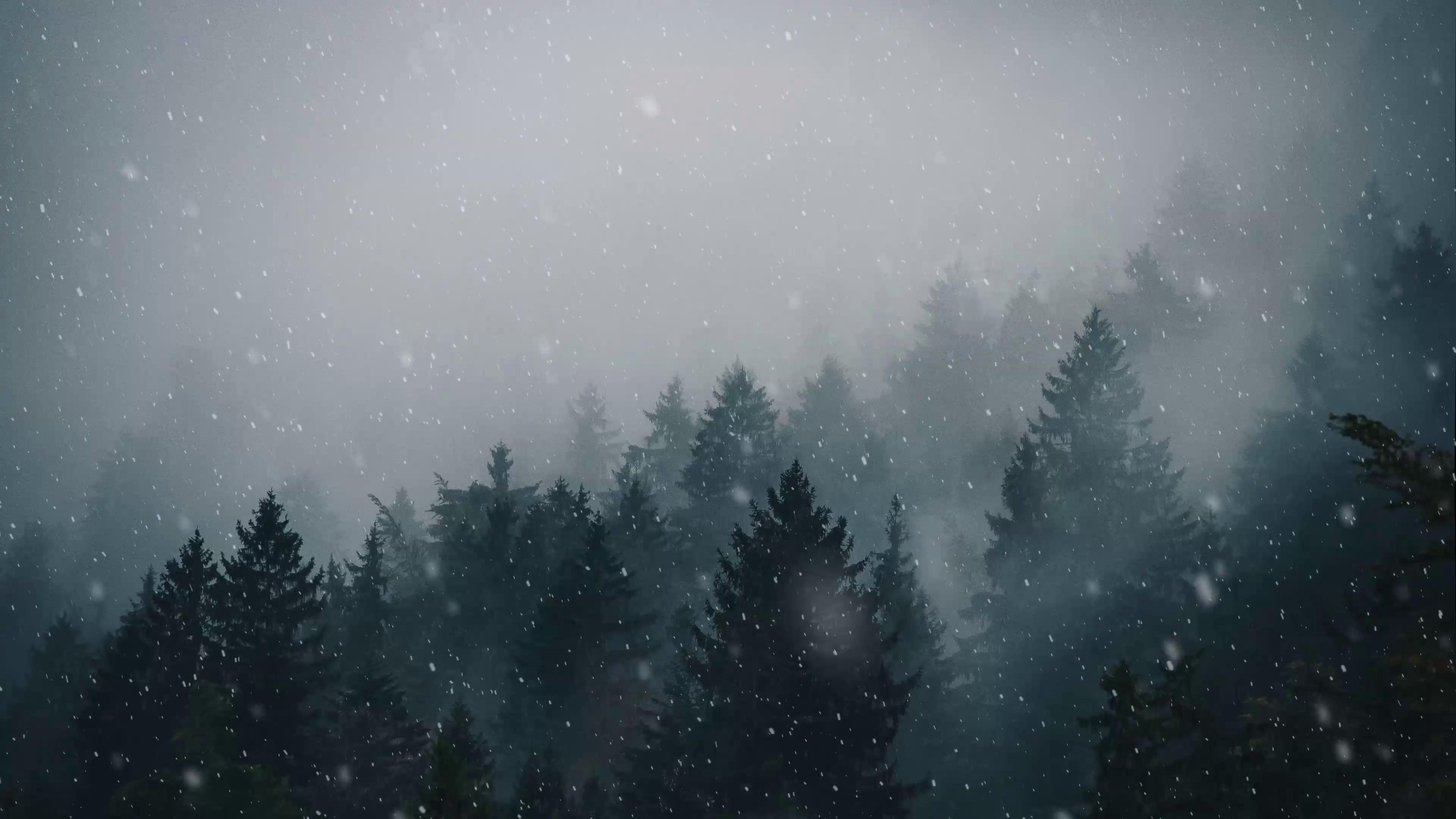Snowfall in Forest Animated Wallpaper