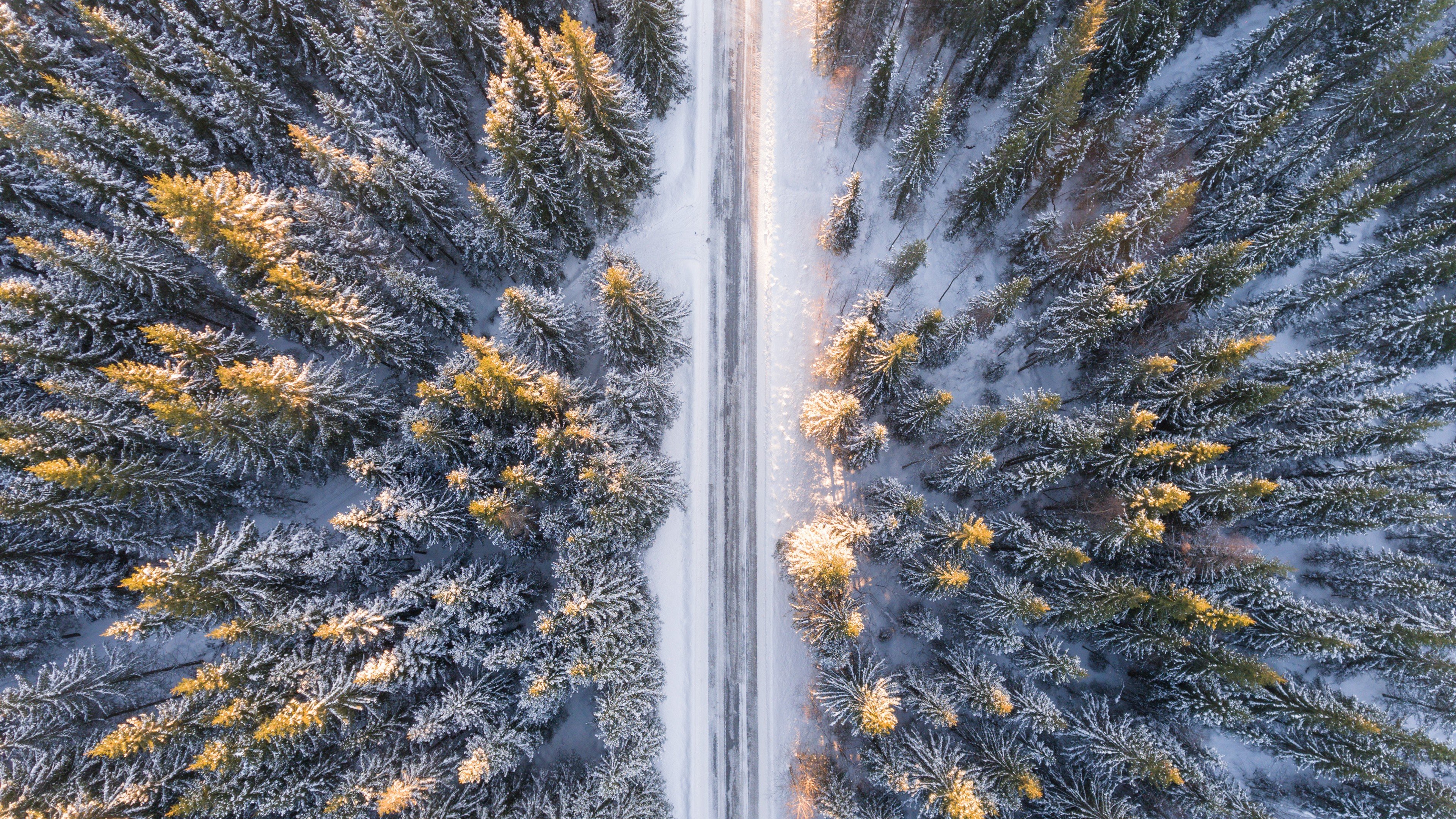 Free download Winter Forest 4K wallpaper [3840x2160] for your Desktop, Mobile & Tablet. Explore Snowy Forest 4K Wallpaper. Snowy Mountain Wallpaper, Snowy Forest Wallpaper, Snowy Background